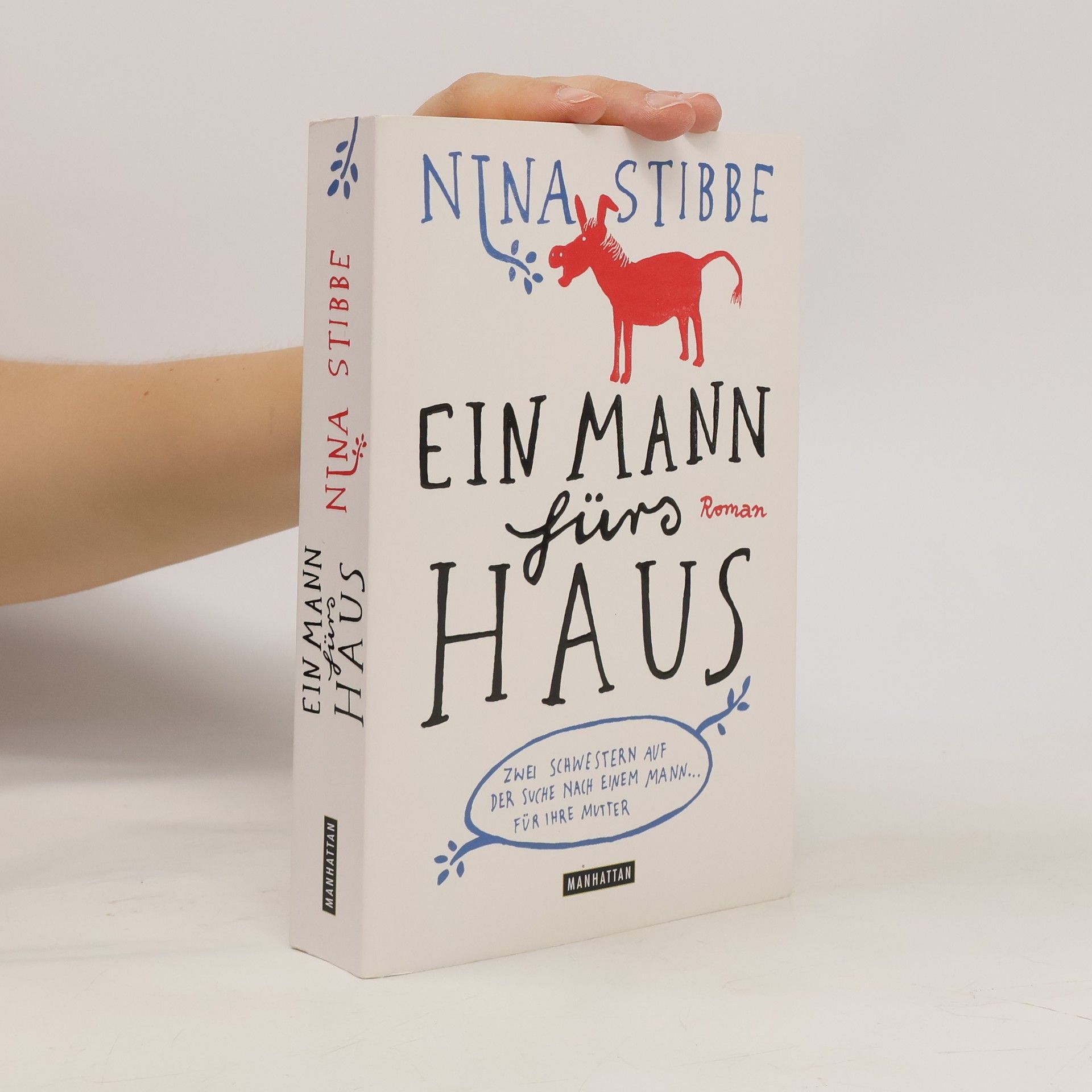 Nina Stibbe Ein Mann fürs Haus