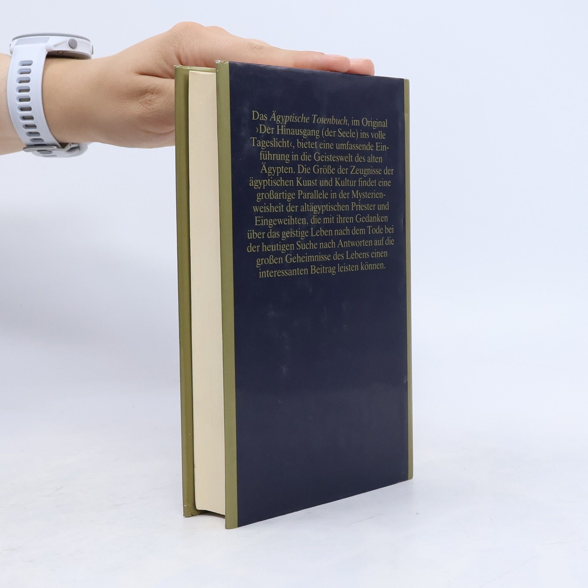 Auteurscollectief Das ägyptische Totenbuch