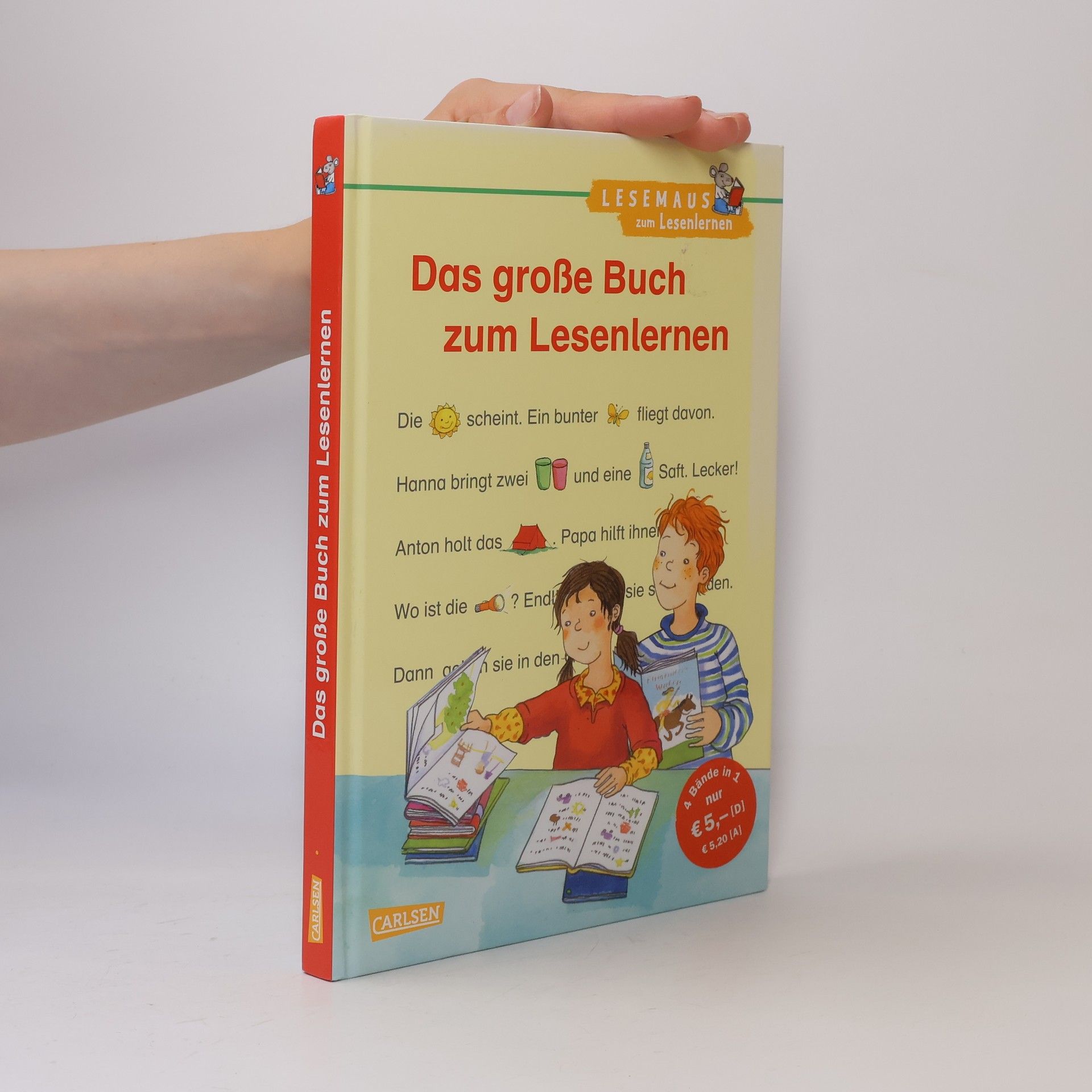 Kolektiv autorů Das große Buch zum Lesenlernen