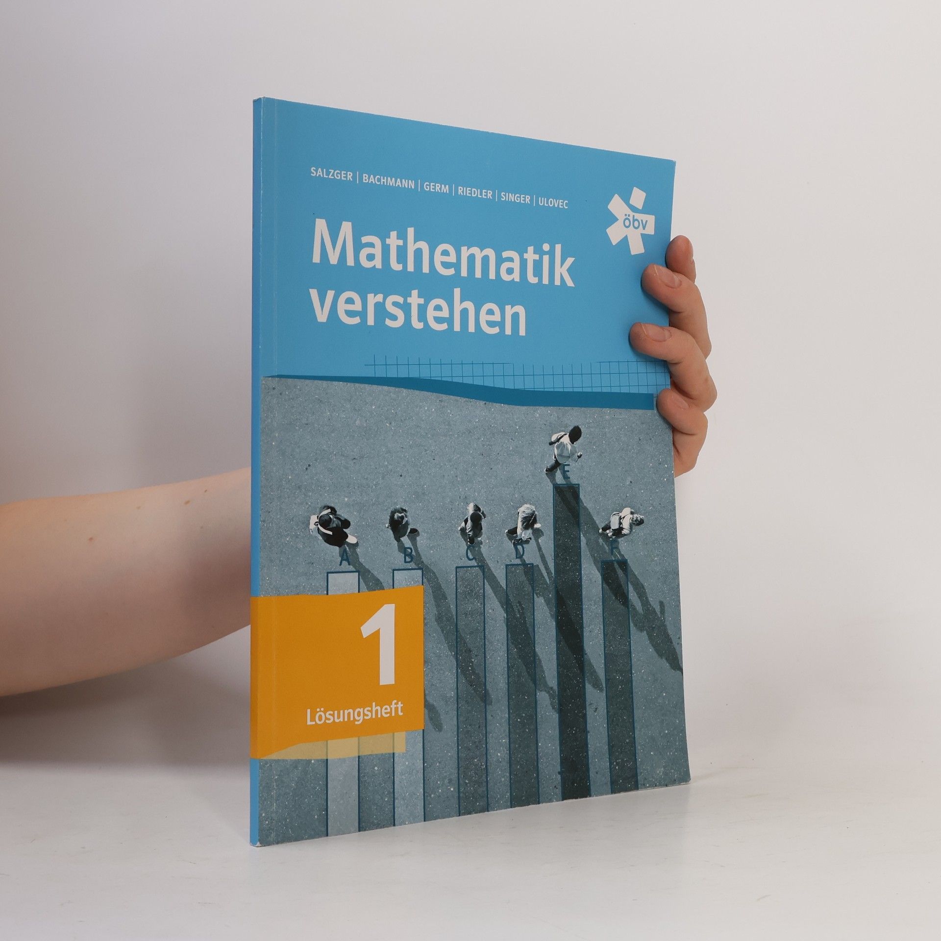 Mathematik verstehen 1, Lösungen