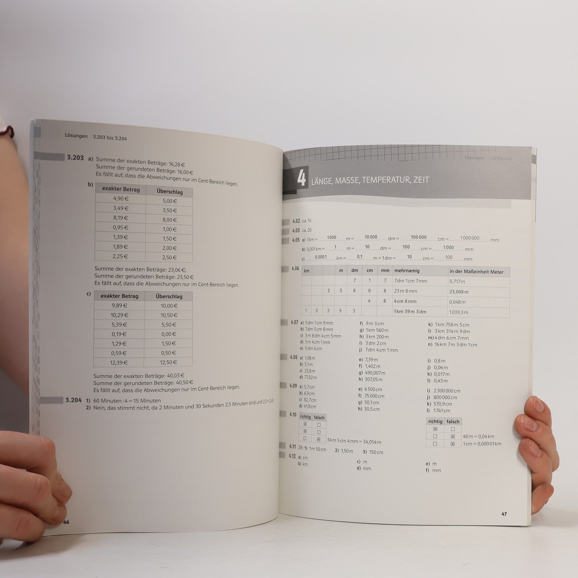 Bernhard Salzger Mathematik verstehen 1, Lösungen