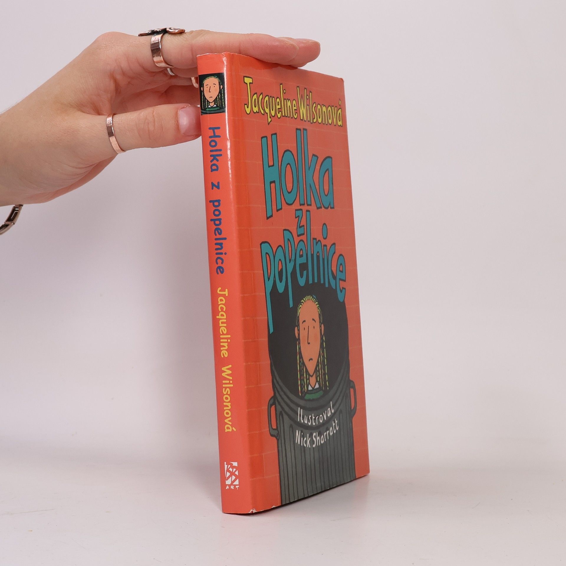 Jacqueline Wilson Holka z popelnice