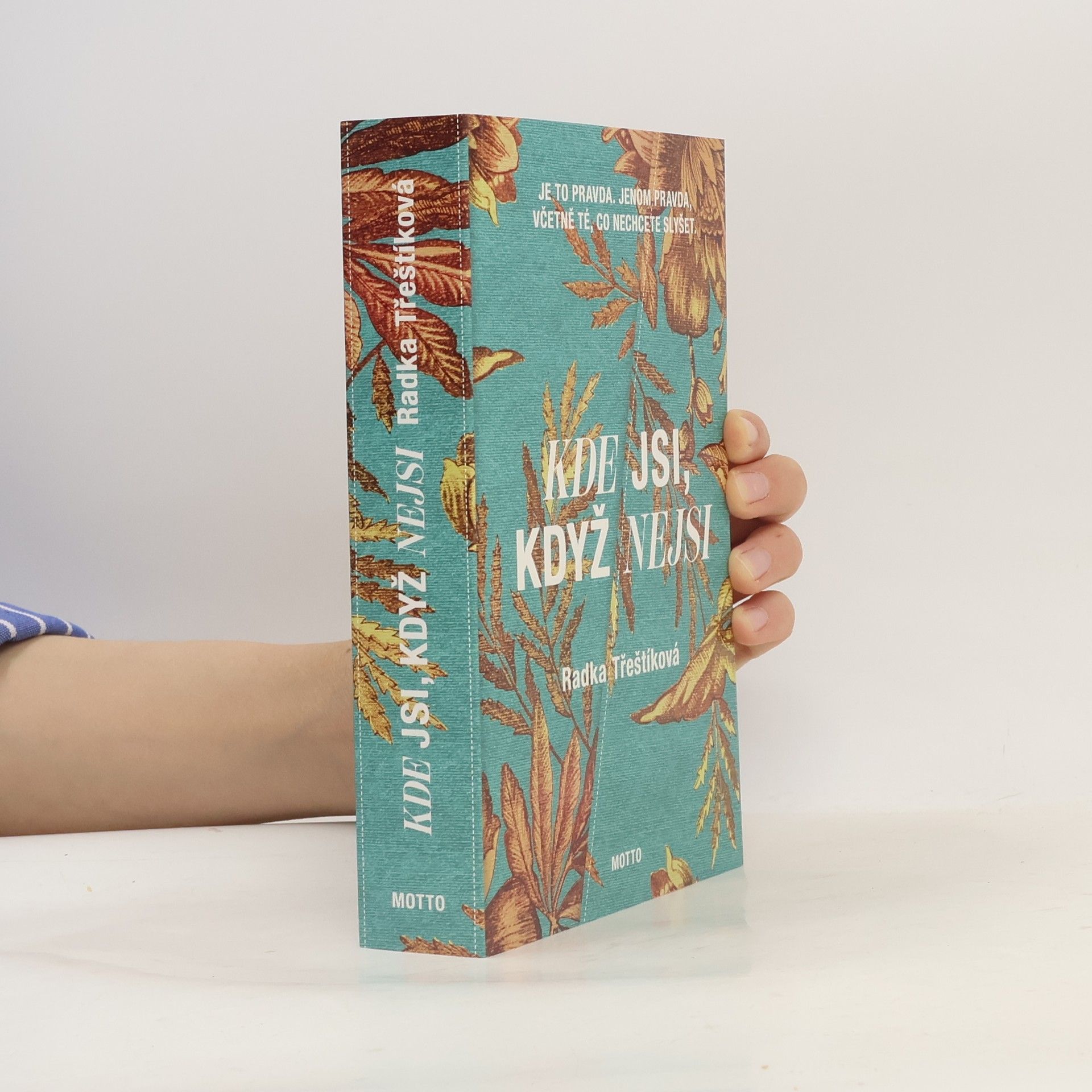Radka Třeštíková Kde jsi, když nejsi
