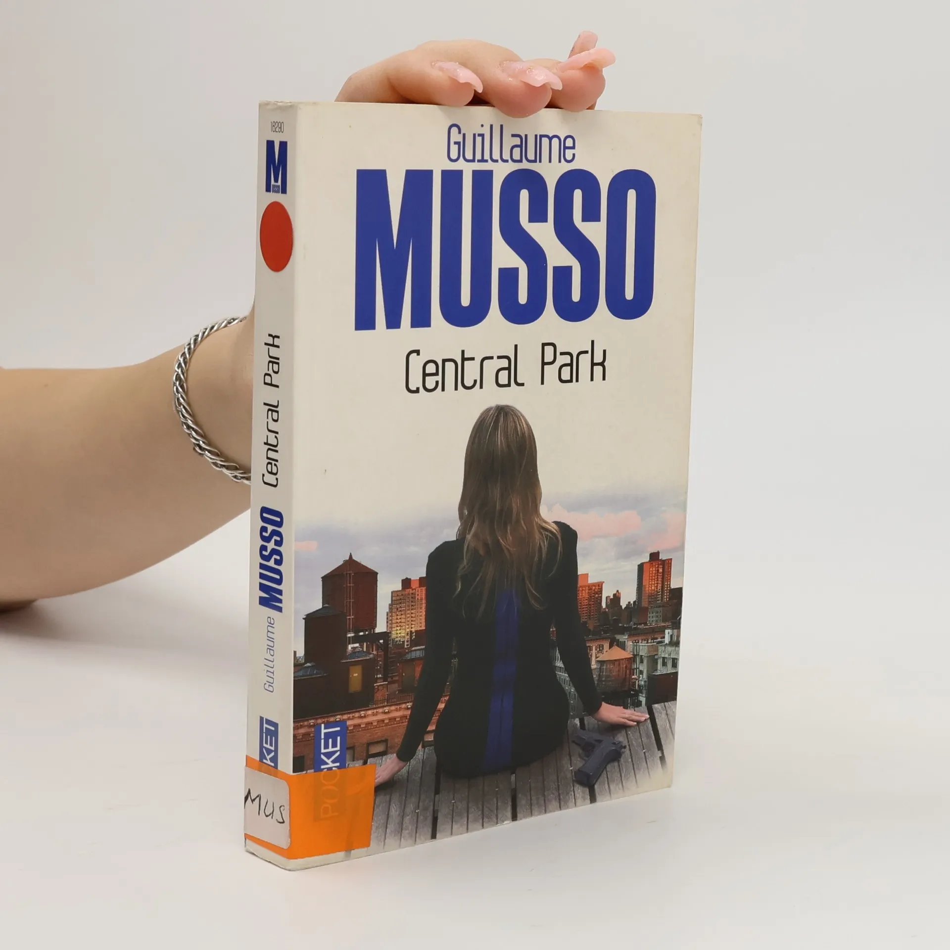 Central Park | Guillaume Musso | Französisch | Buch