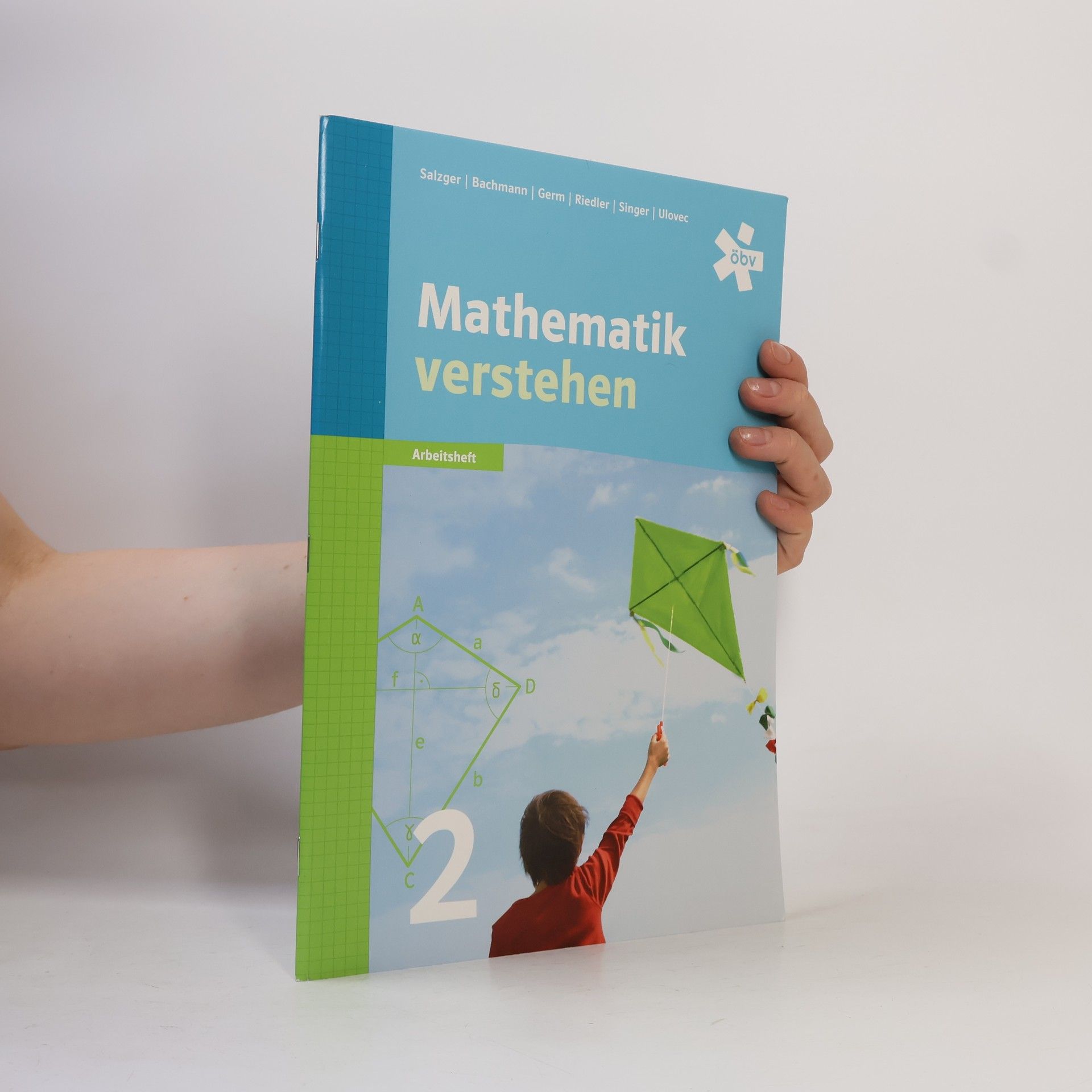 Mathematik verstehen