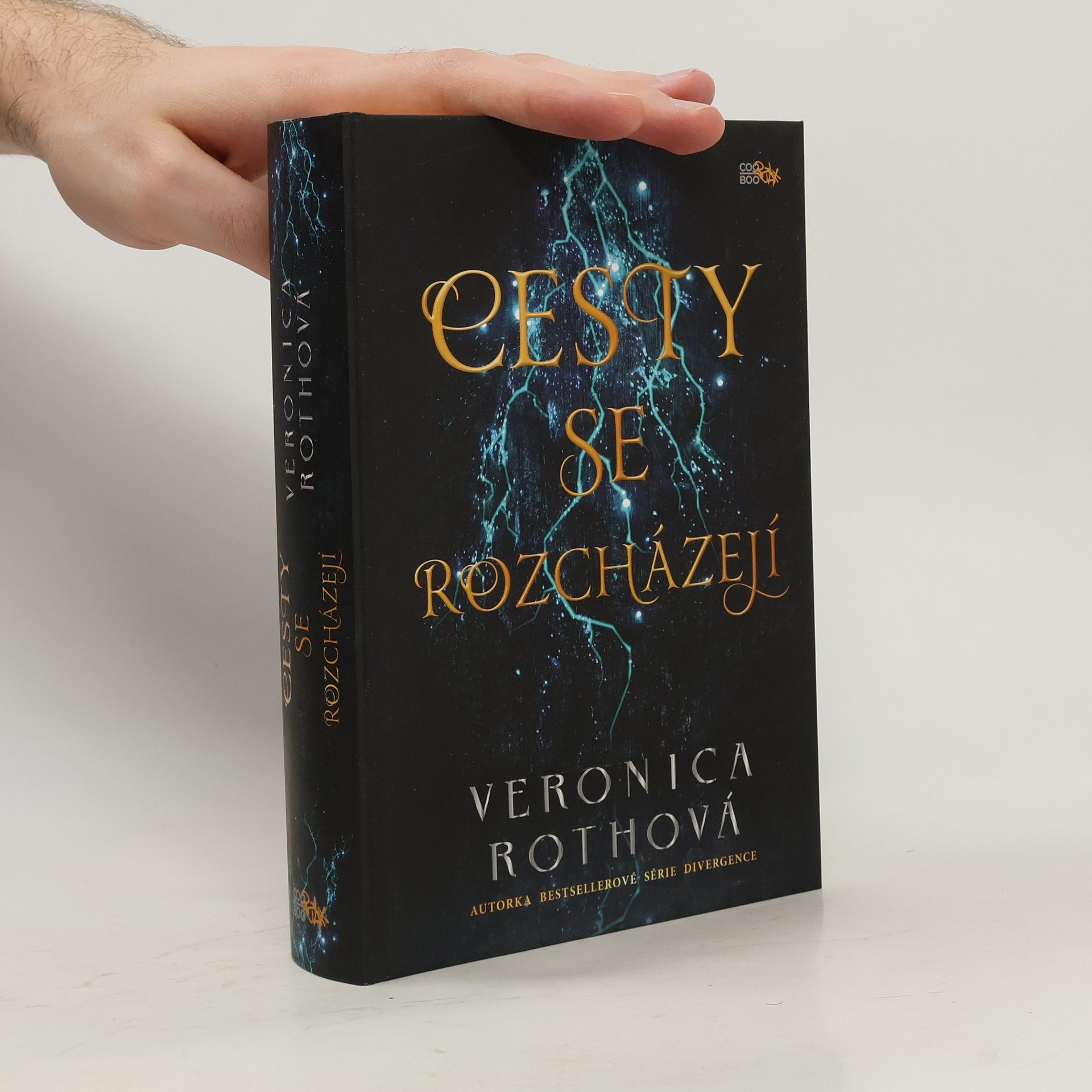 Veronica Roth Cesty se rozcházejí