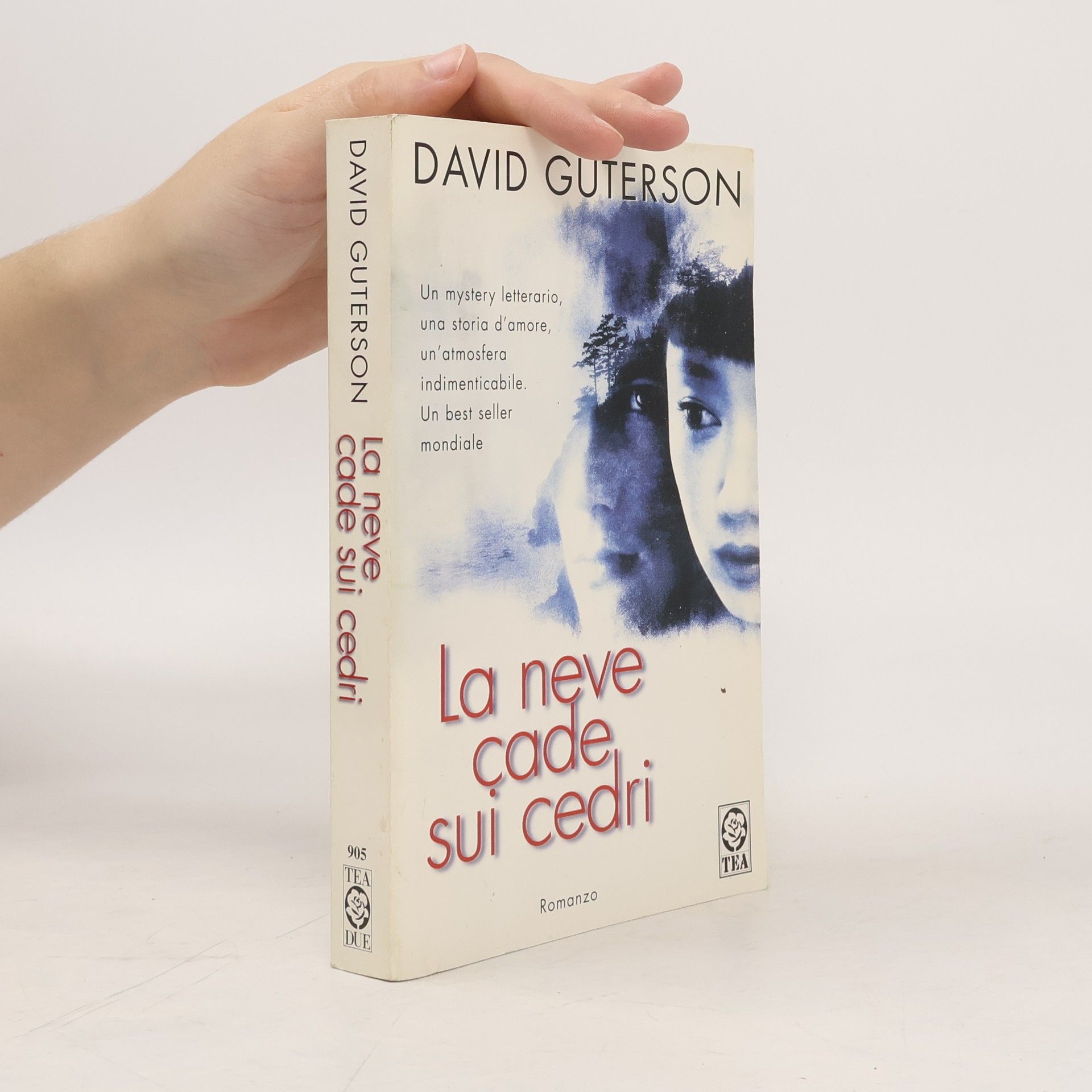 La neve cade sui cedri