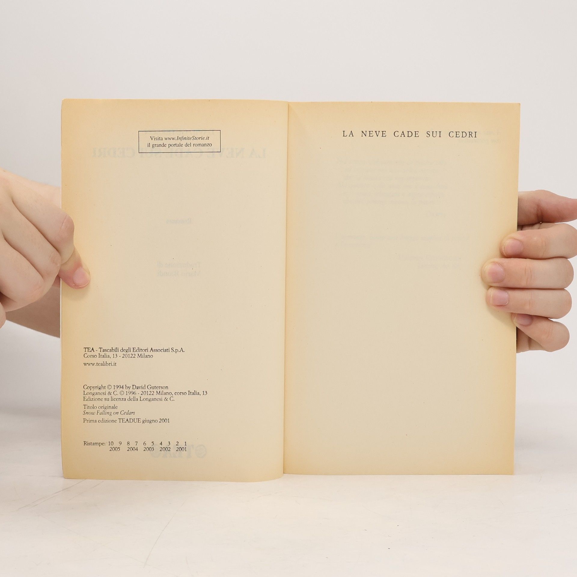 David Guterson La neve cade sui cedri