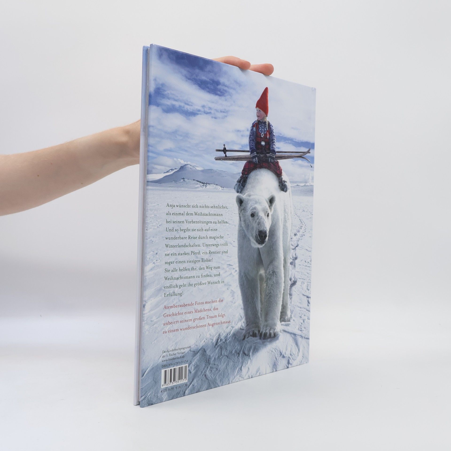 Lori Evert Die wunderbare Weihnachtsreise