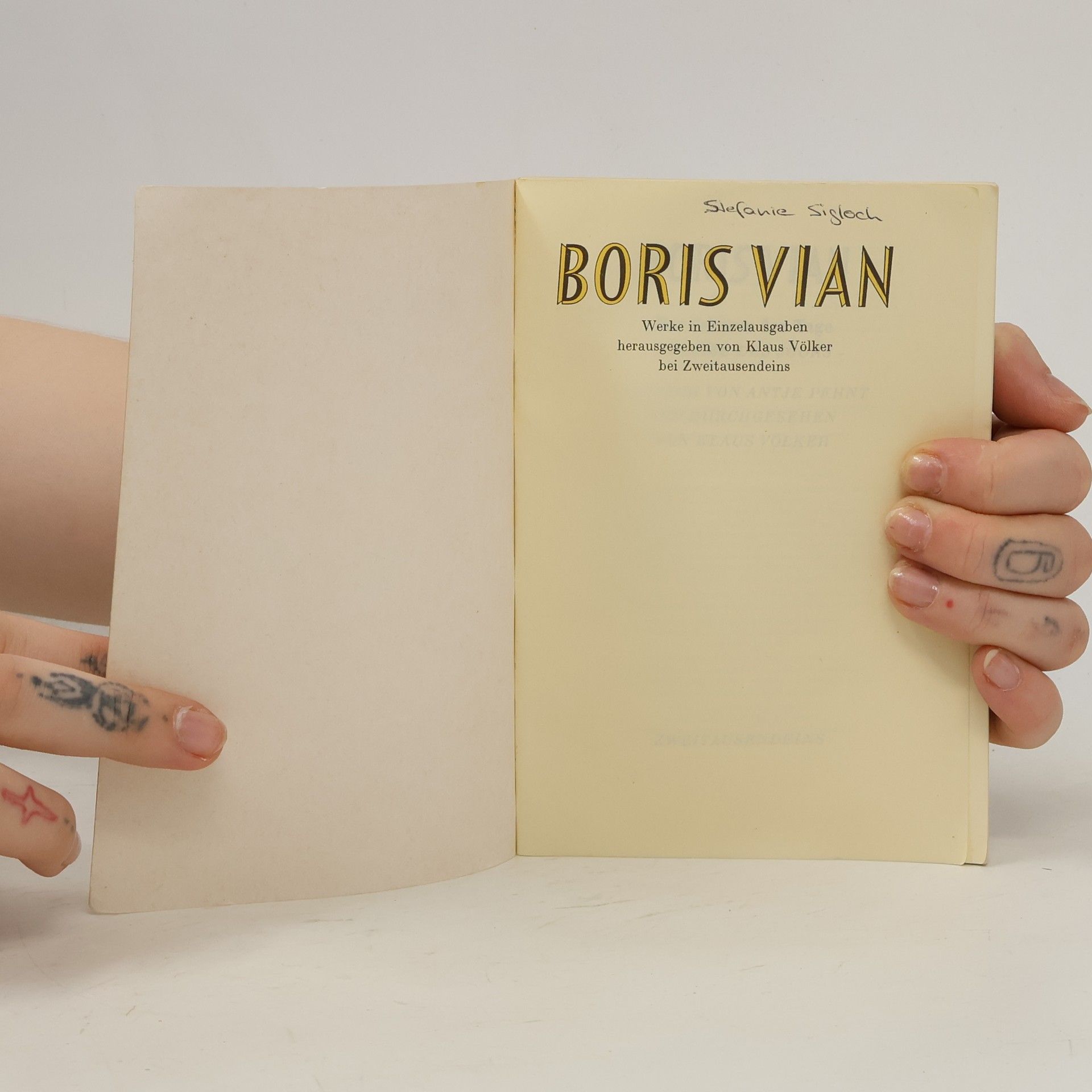 Boris Vian Der Schaum der Tage