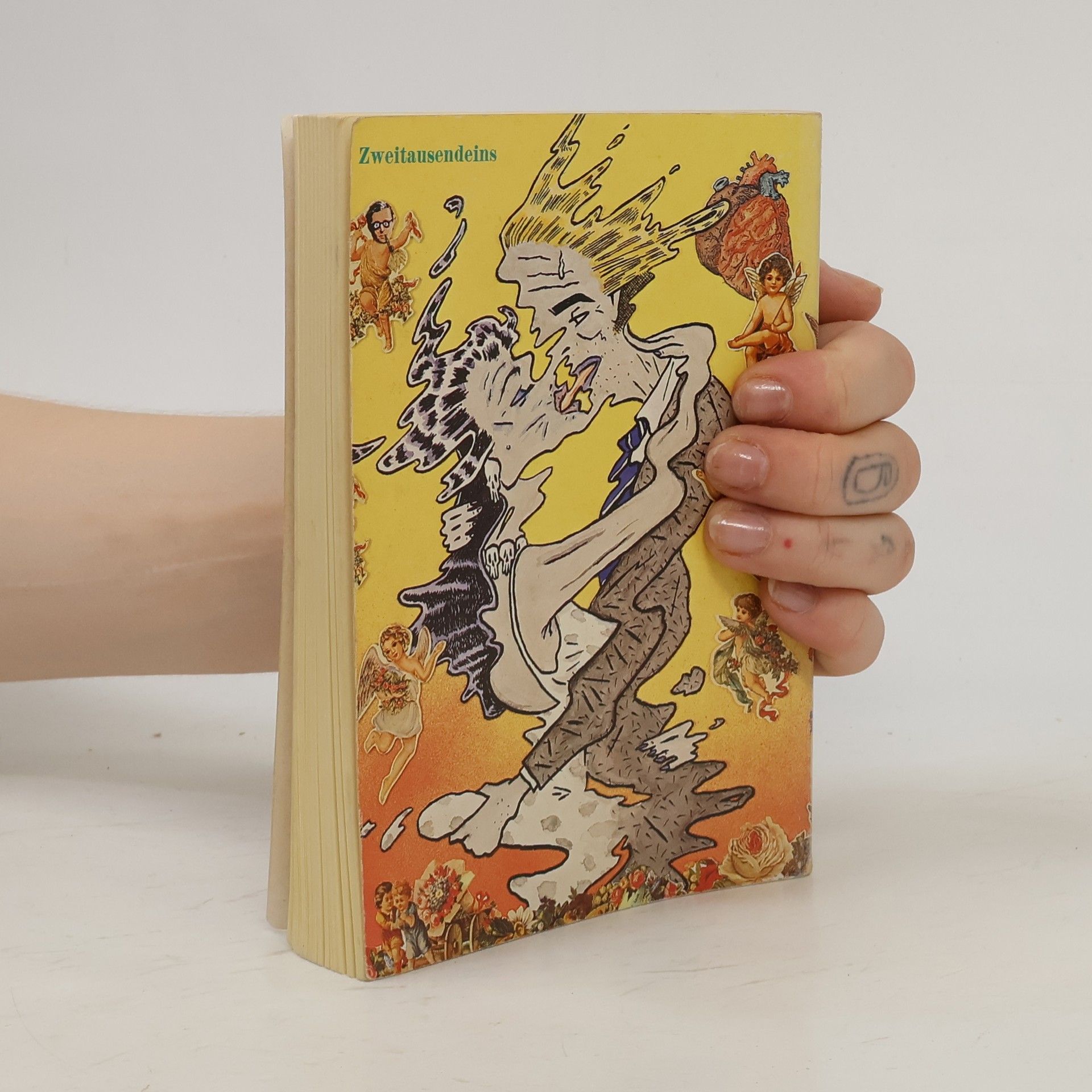 Boris Vian Der Schaum der Tage