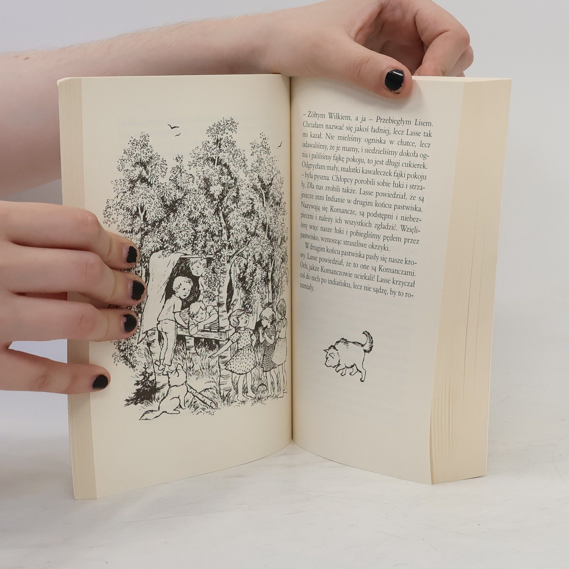 Astrid Lindgren Dzieci z Bullerbyn