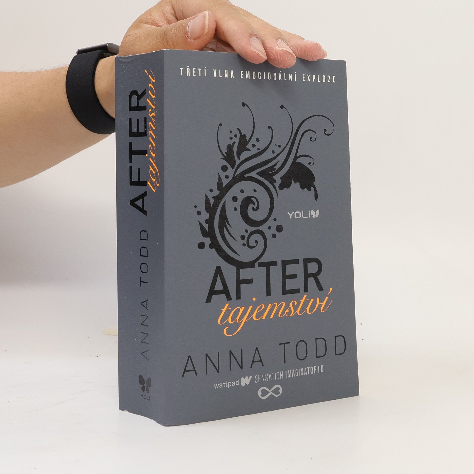Anna Todd After. Tajemství