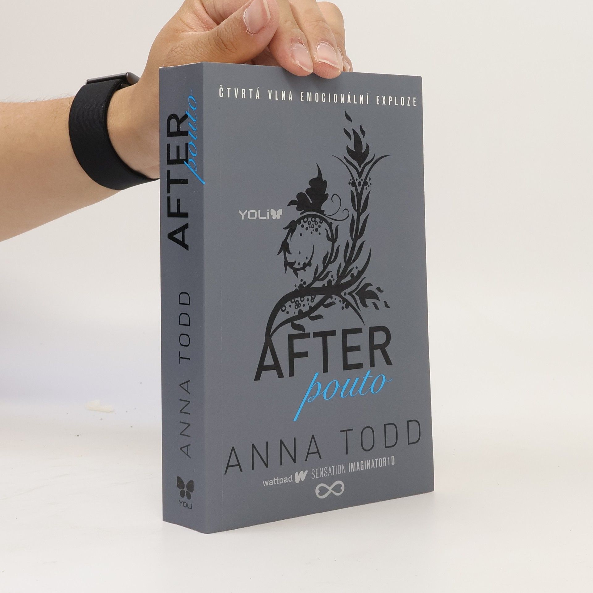Anna Todd After. Pouto