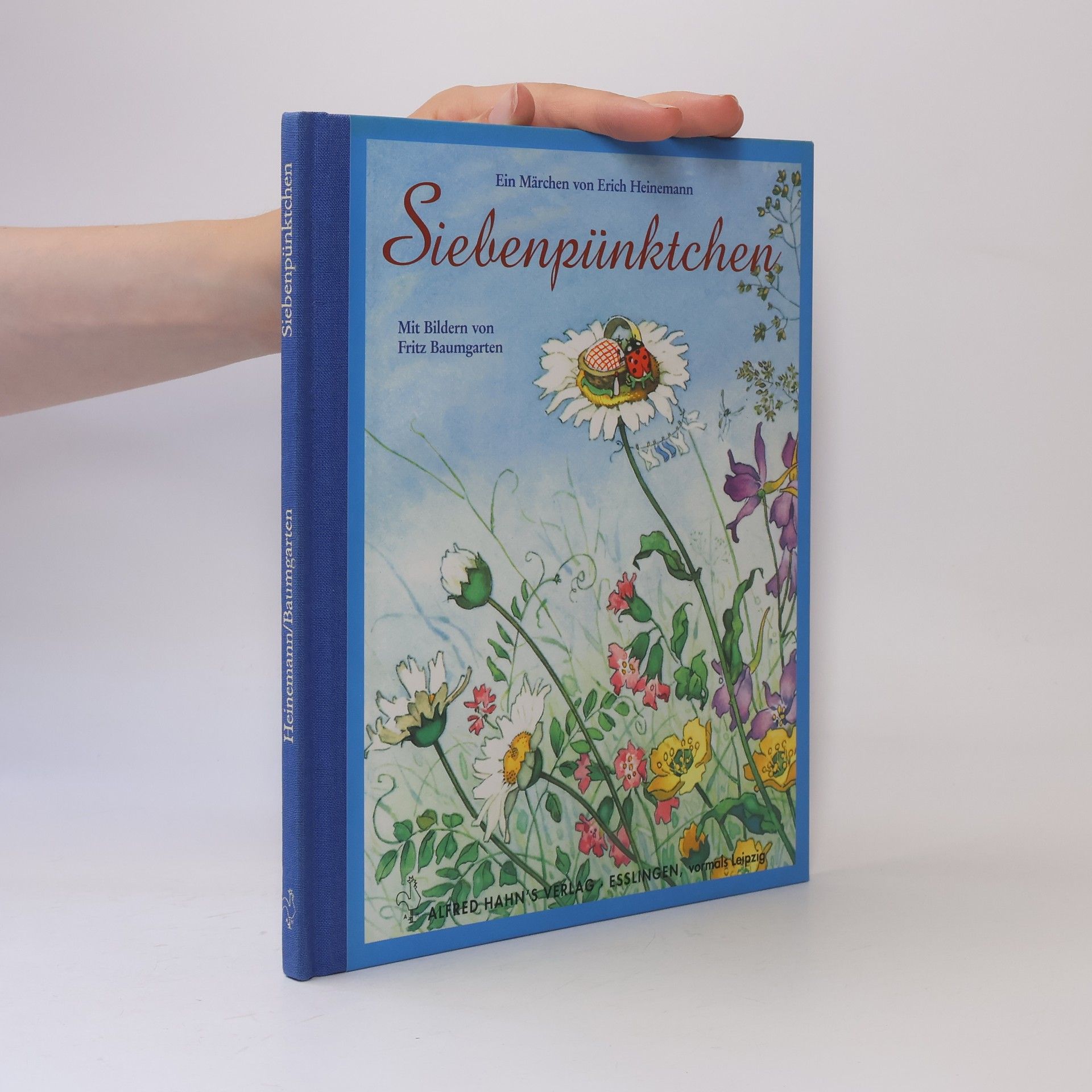 Siebenpünktchen