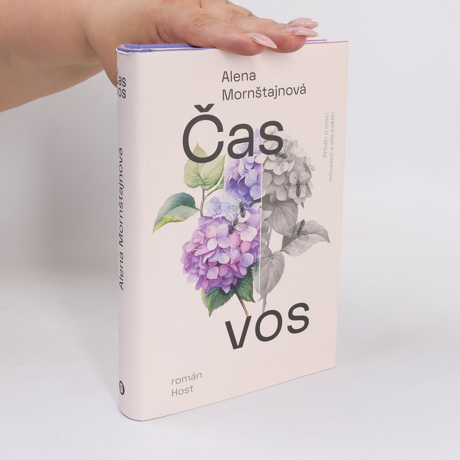 Alena Mornštajnová Čas vos