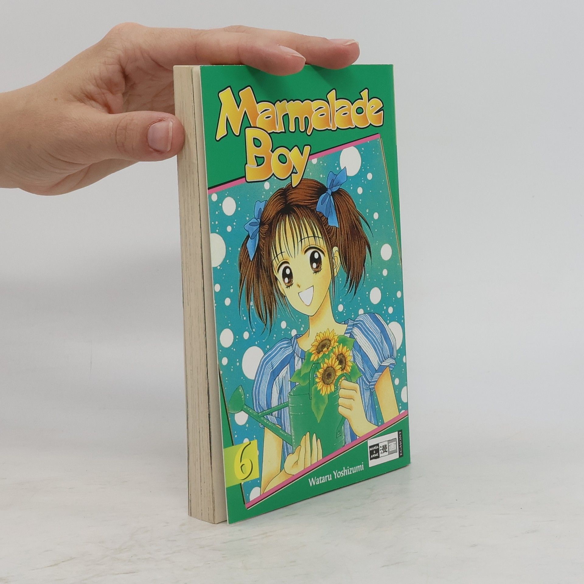 Various authors Marmalade Boy 6