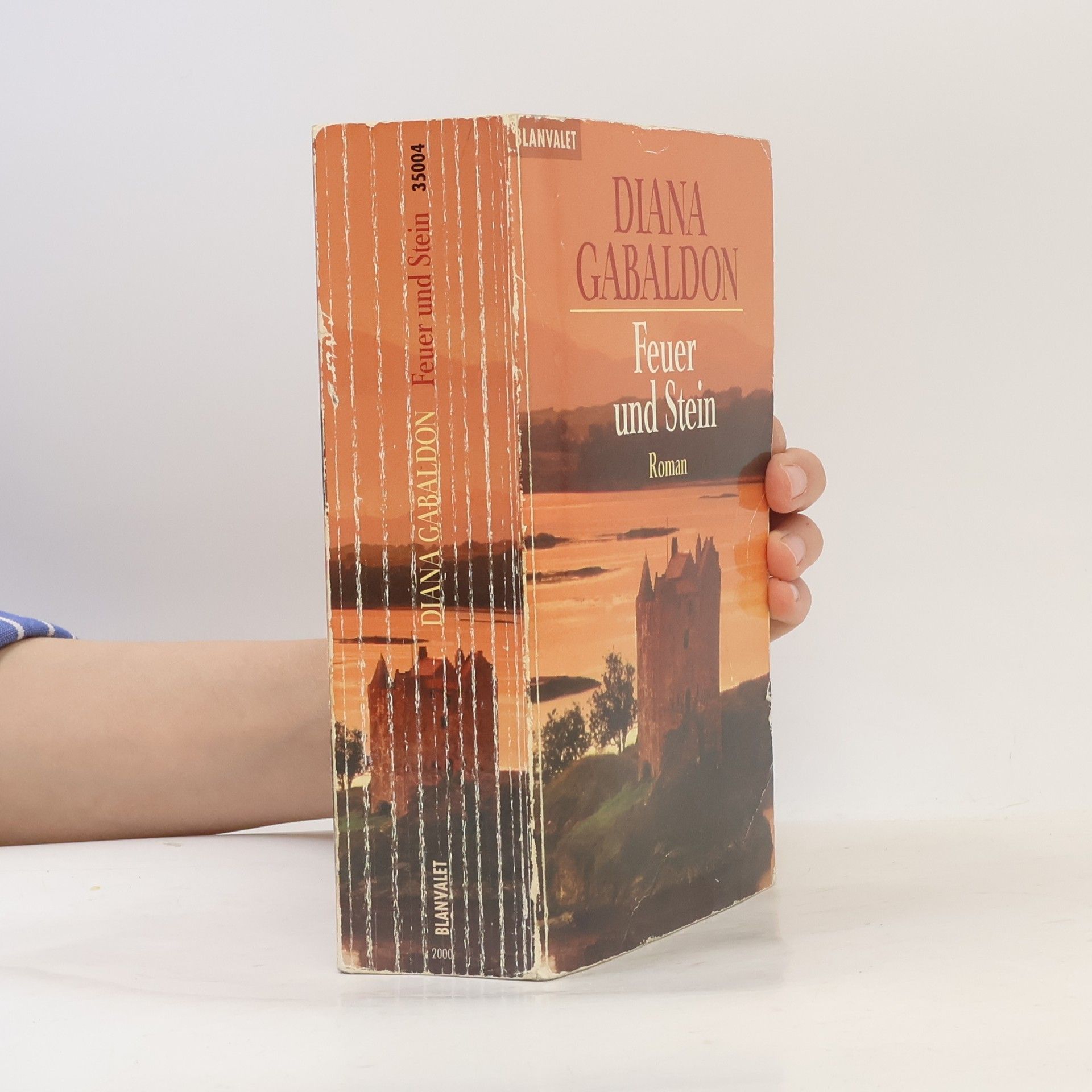 Diana Gabaldon Feuer und Stein