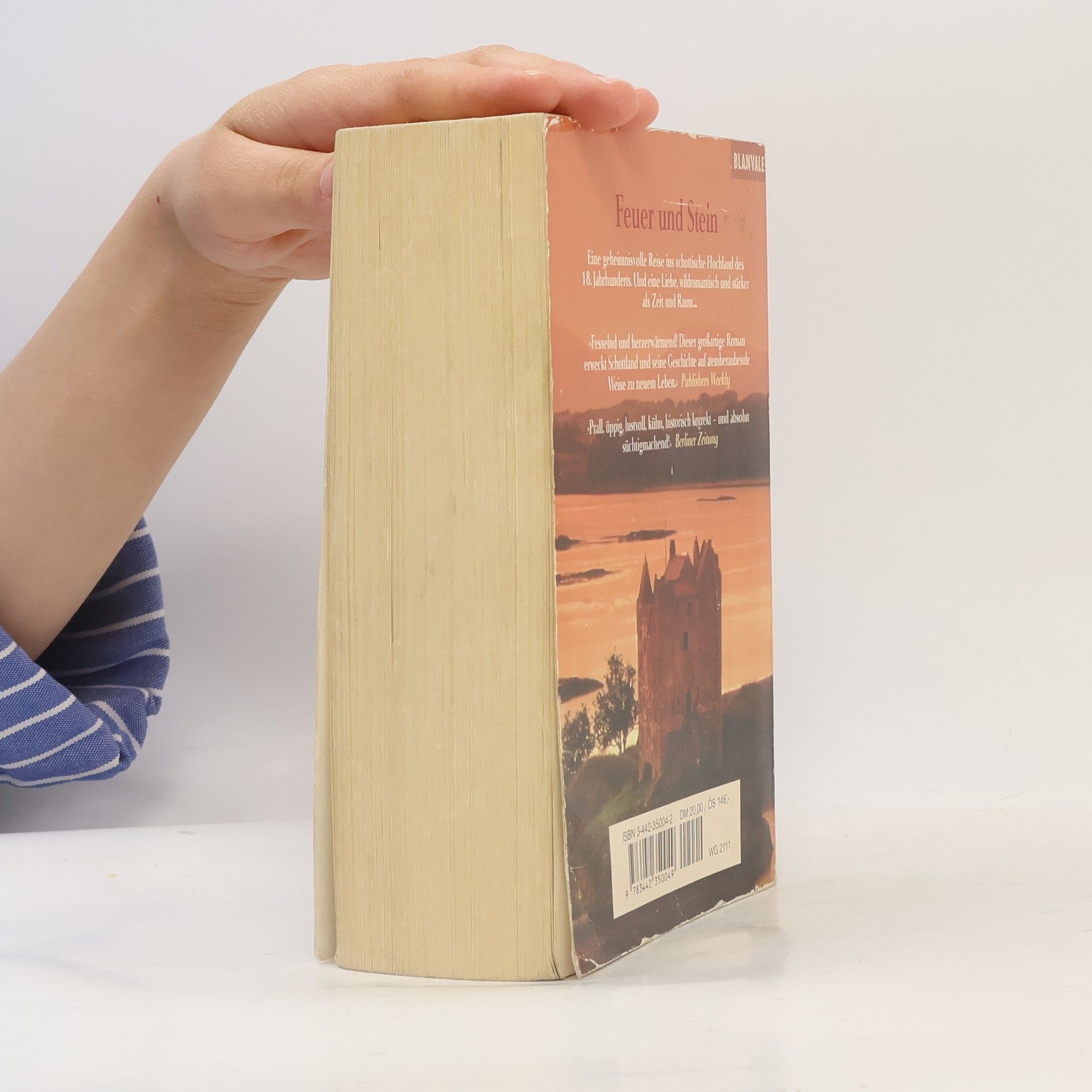 Diana Gabaldon Feuer und Stein