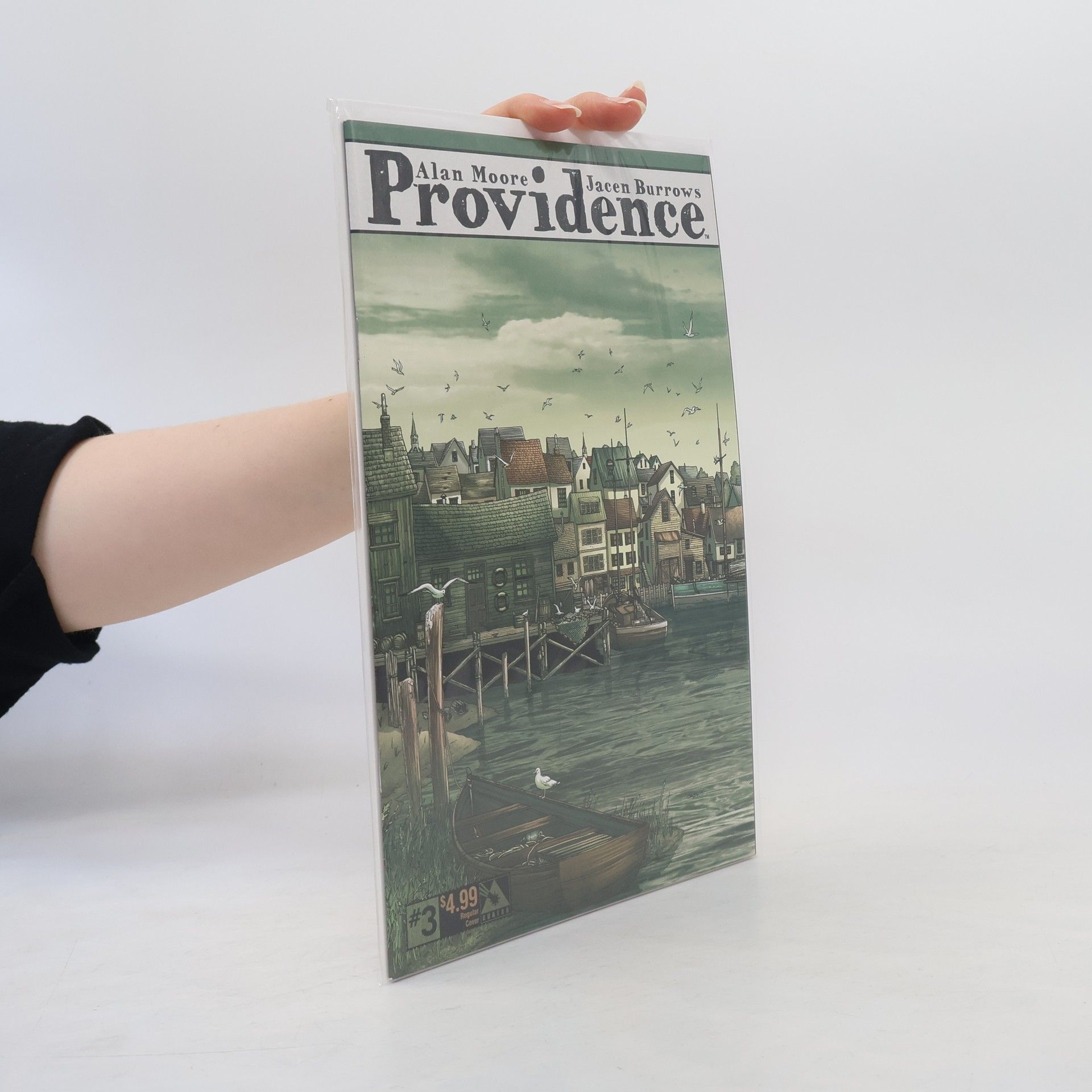 Alan Moore Providence 3