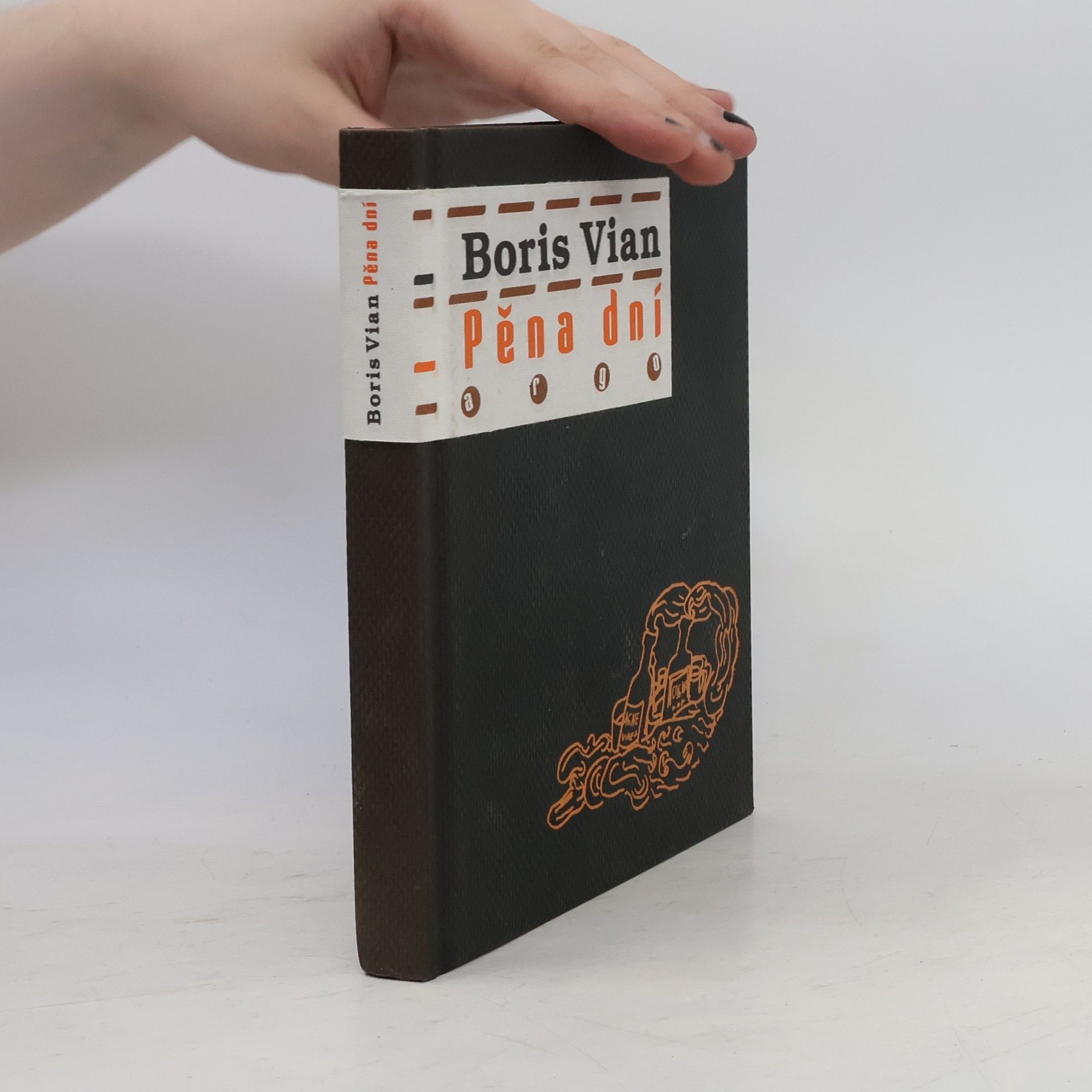 Boris Vian Pěna dní