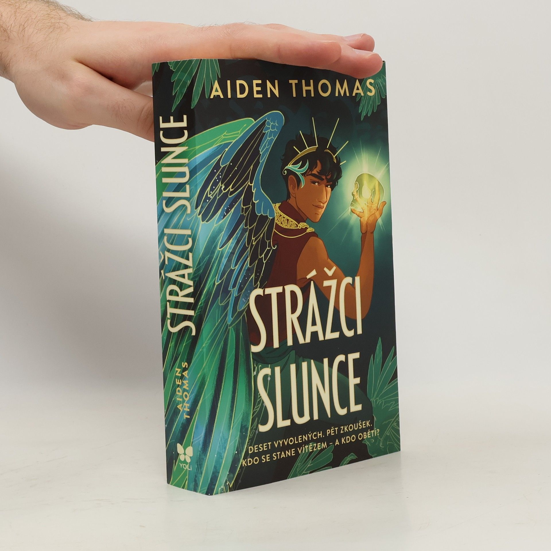 Aiden Thomas Strážci Slunce
