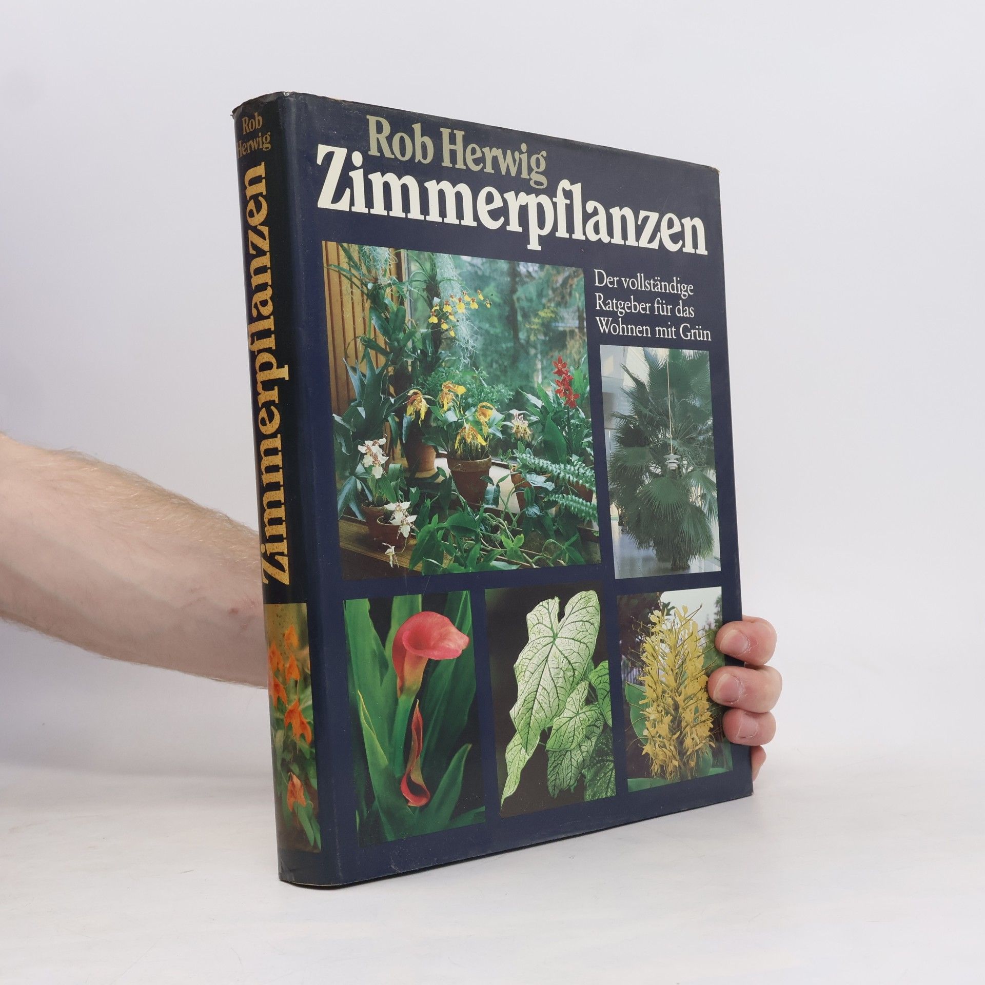 Rob Hewig Zimmerpflanzen