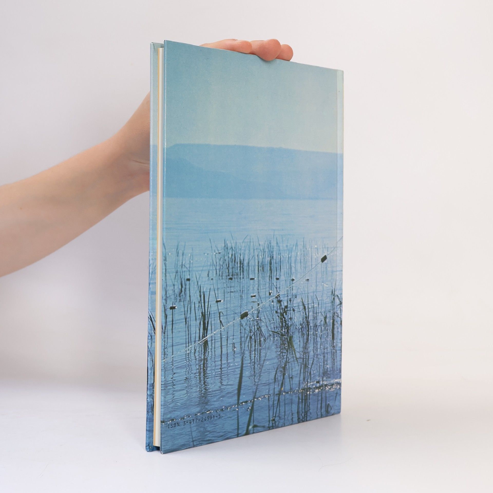 Gerald Hughes Die Bibel entdecken