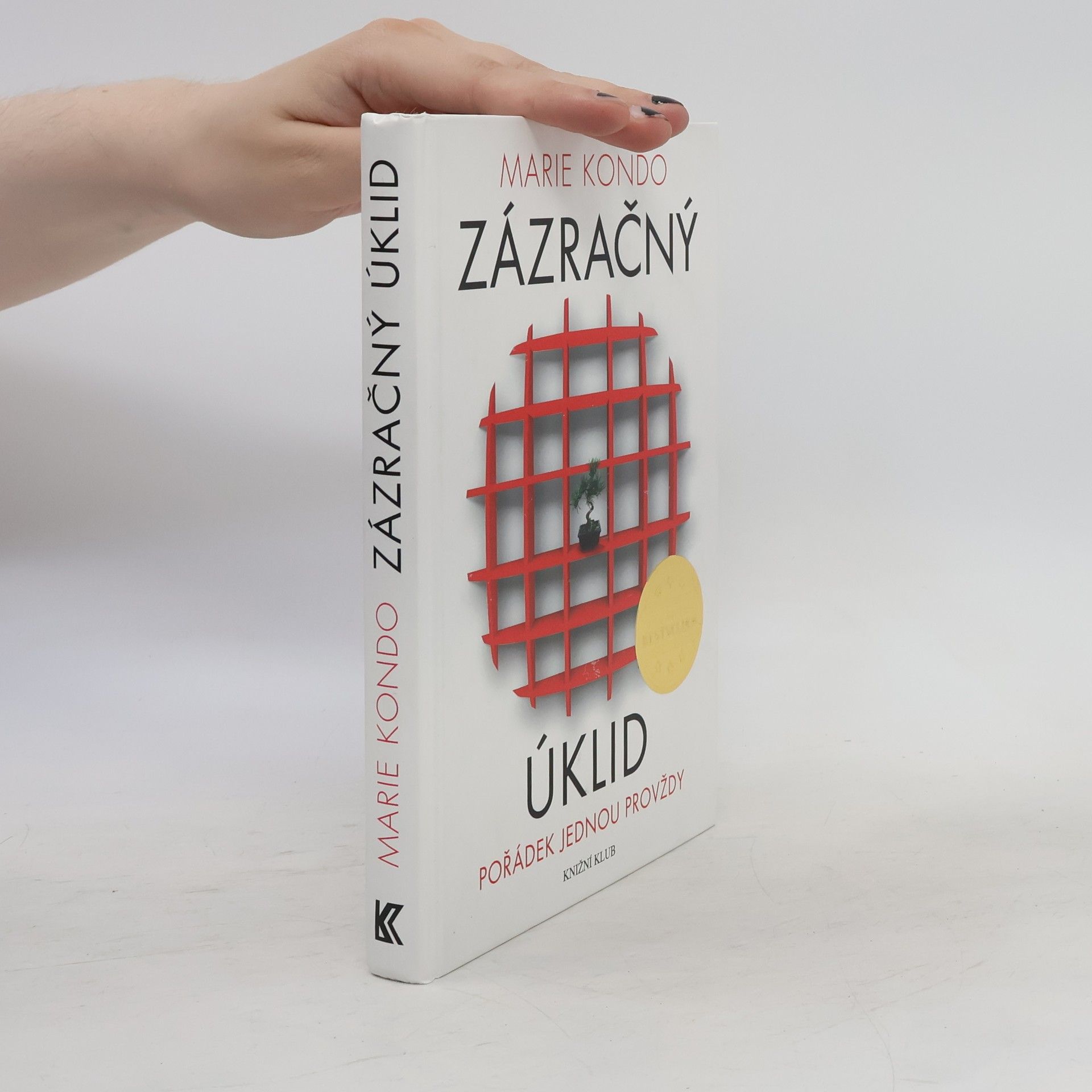 Marie Kondō Zázračný úklid