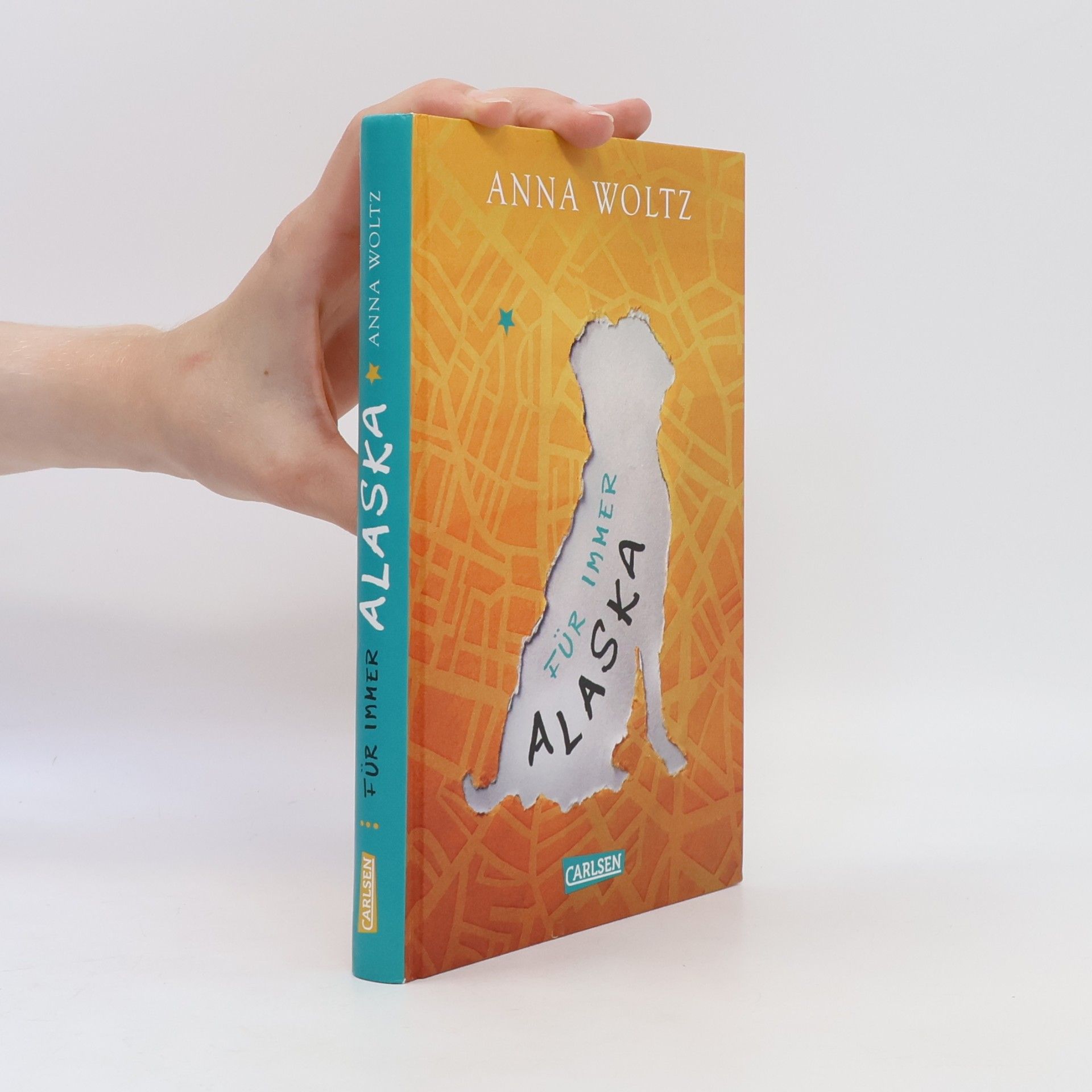 Anna Woltz Für immer Alaska