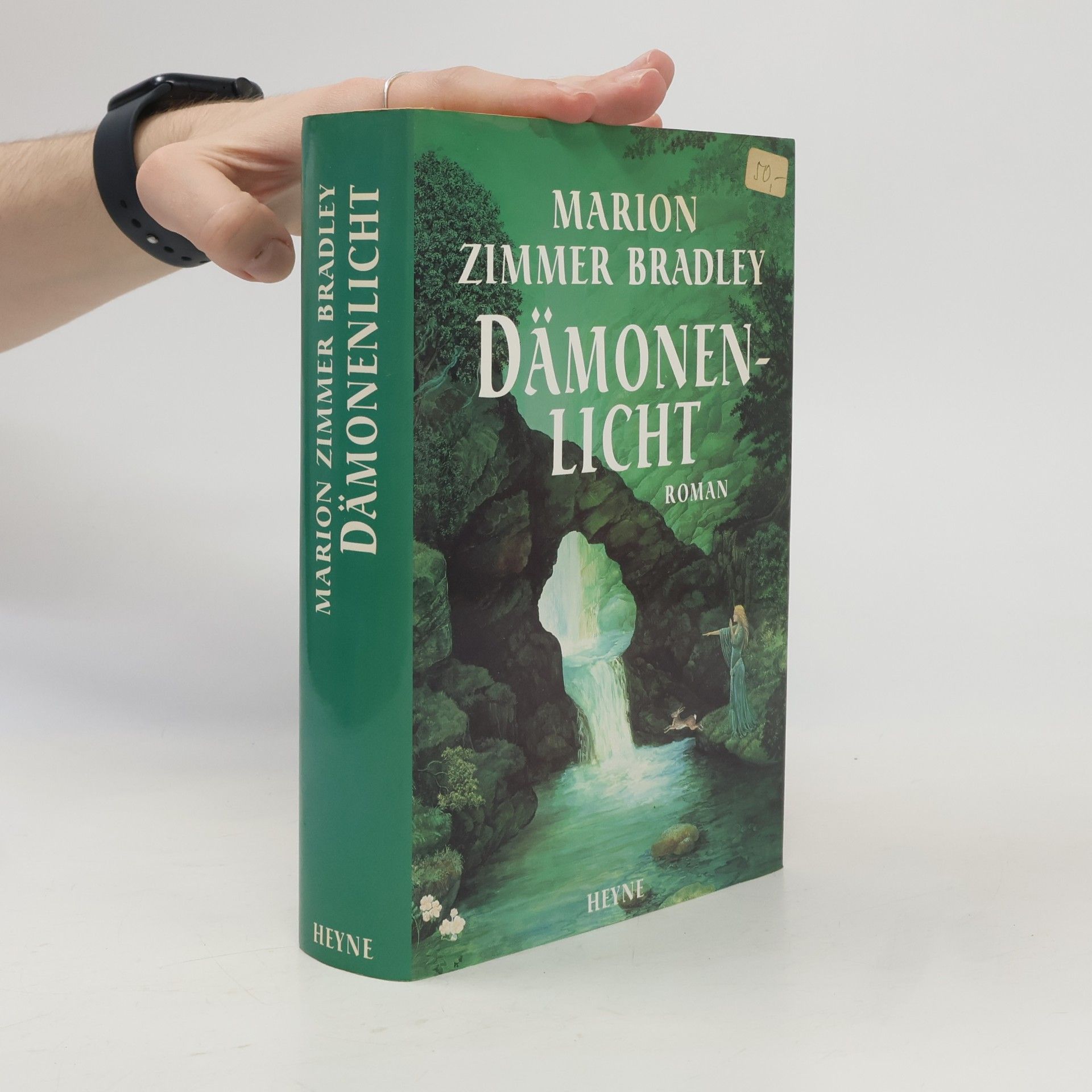 Marion Zimmer Bradley Dämonenlicht. Roman. Aus d. Amerikan. v. Andreas Nohl