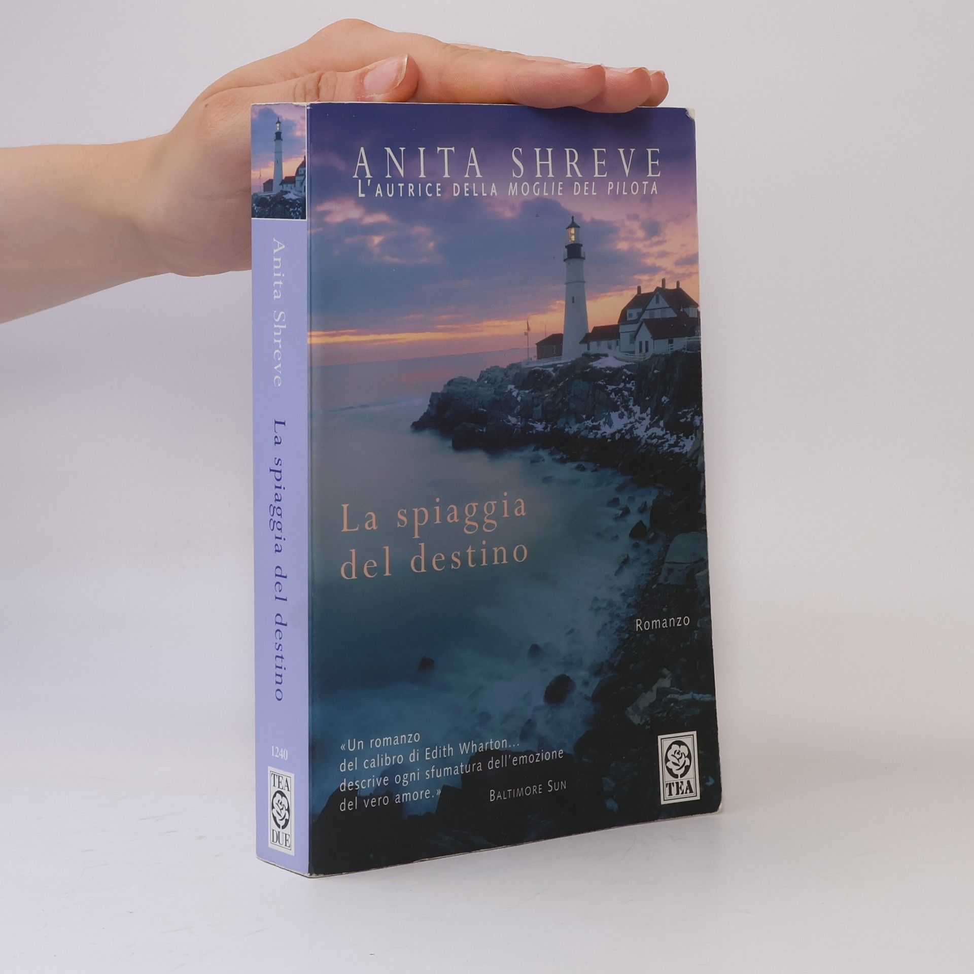 Anita Shreve La spiaggia del destino
