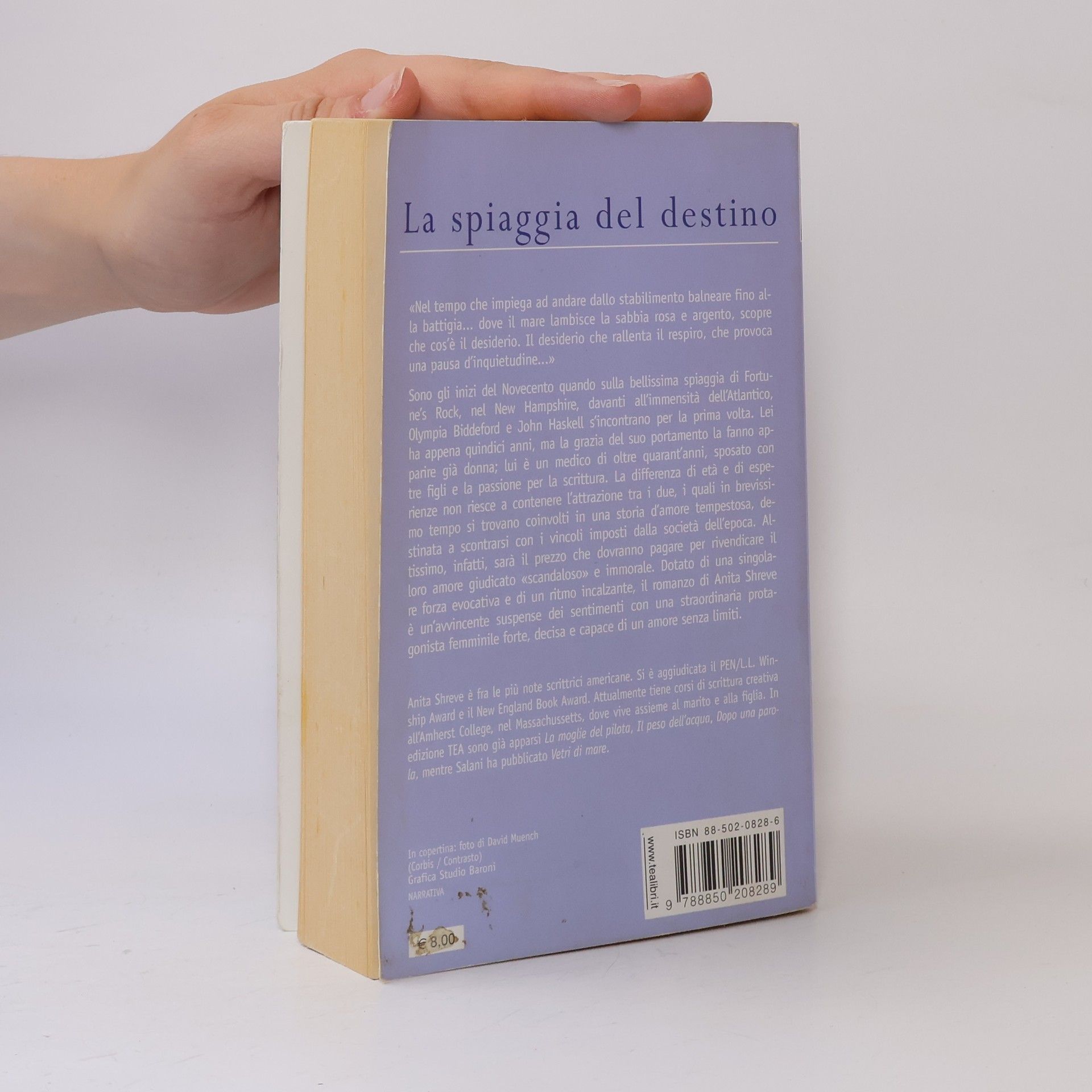 Anita Shreve La spiaggia del destino