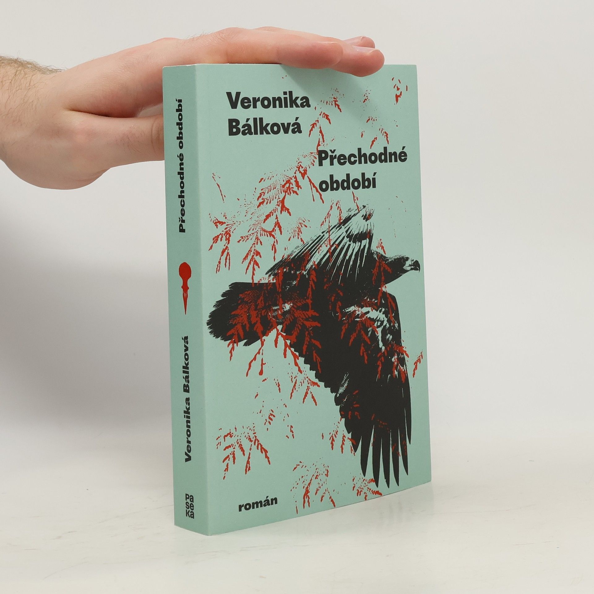 Veronika Bálková Přechodné období
