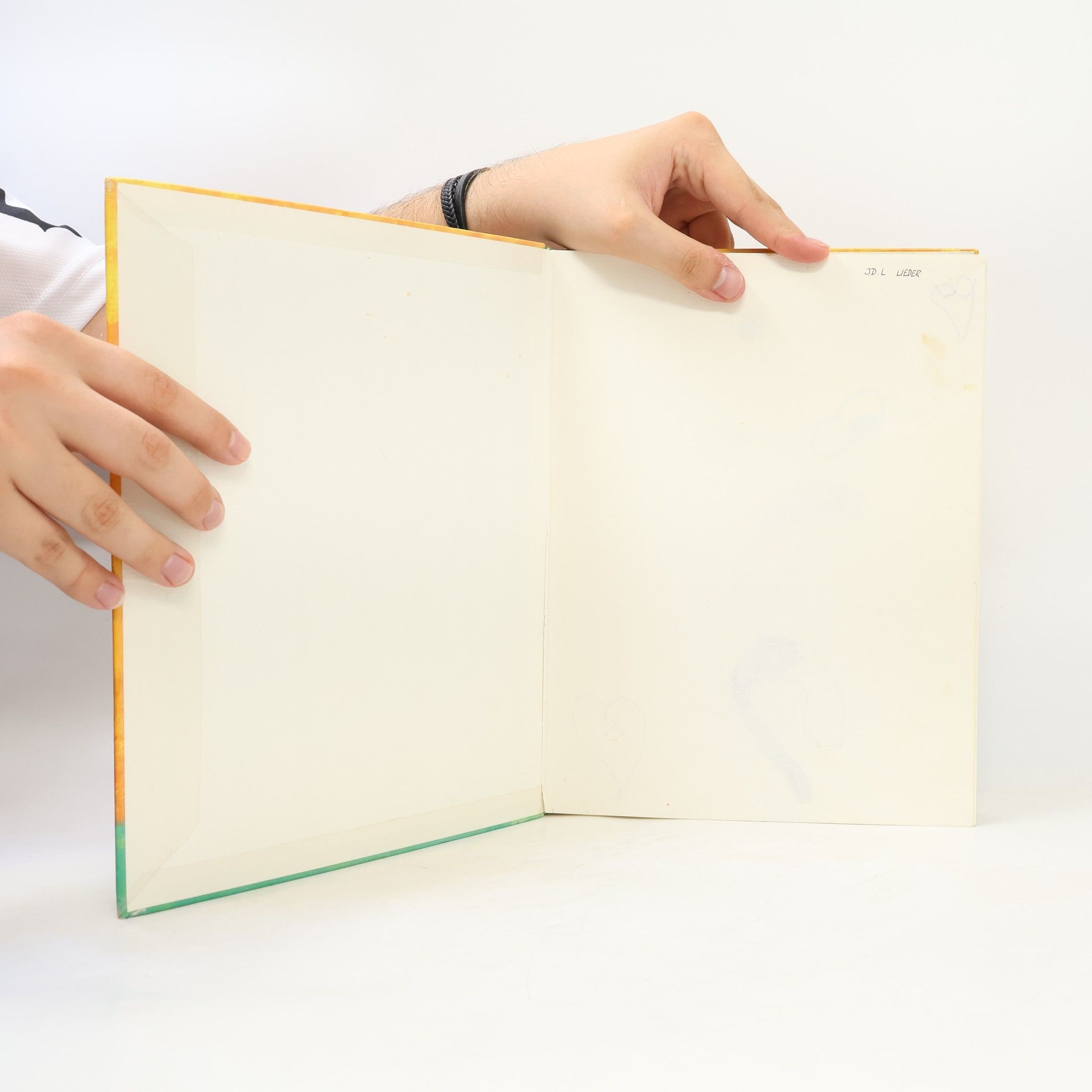 Catrin Frischer Das Liederbuch