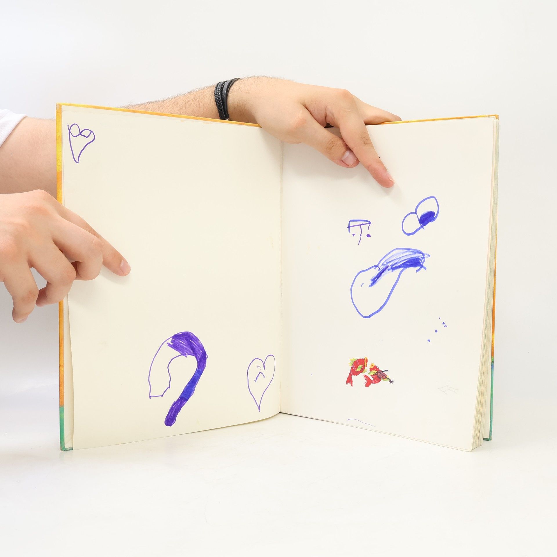 Catrin Frischer Das Liederbuch