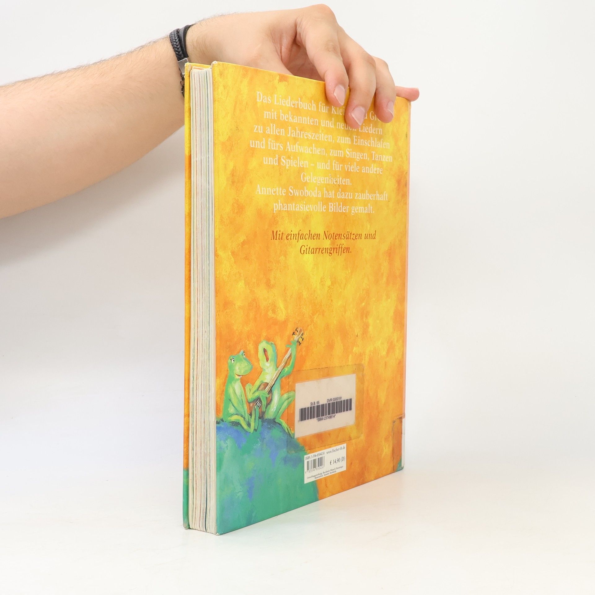 Catrin Frischer Das Liederbuch