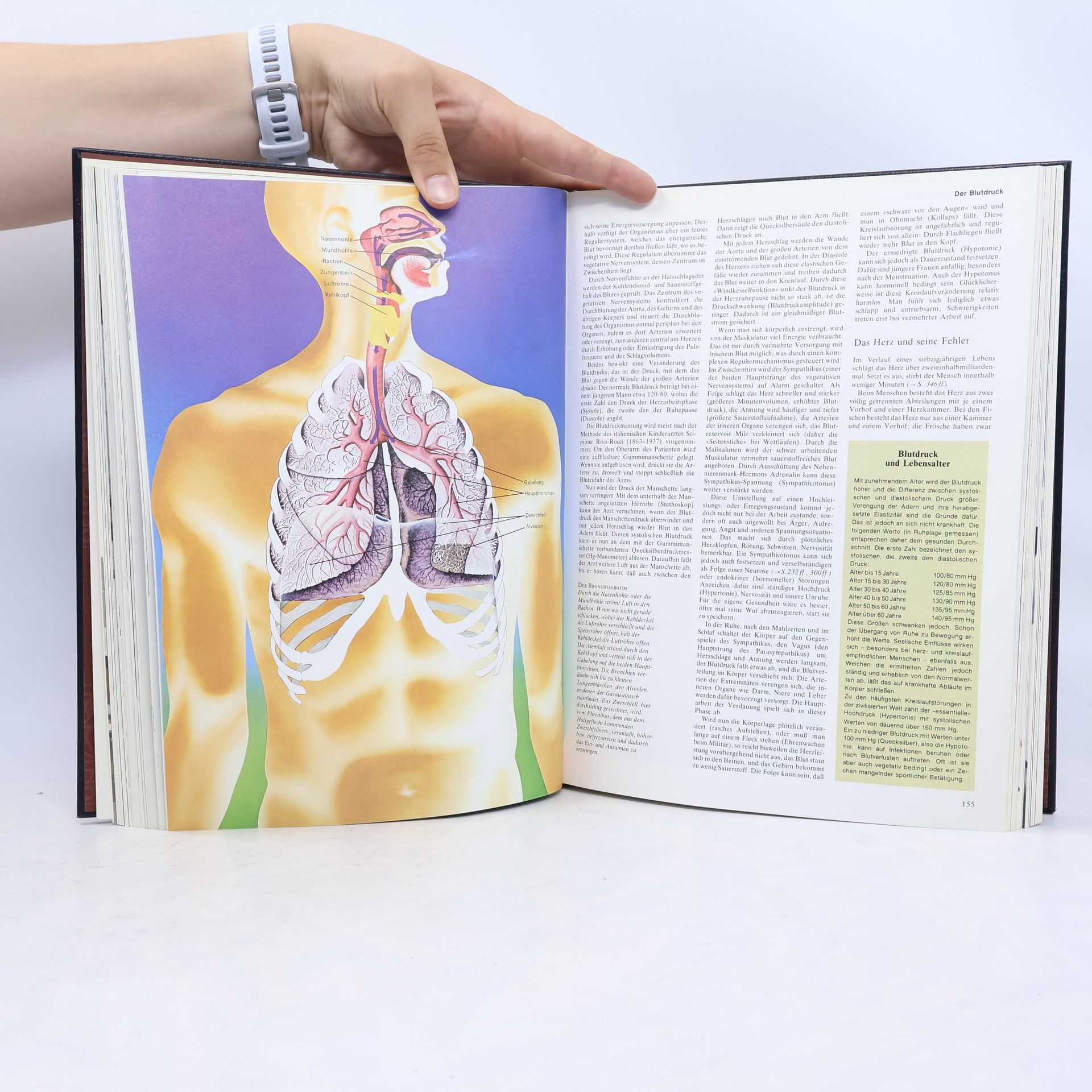 Autorenkollektiv Die grosse Bertelsmann Lexikothek. Mensch und Gesundheit
