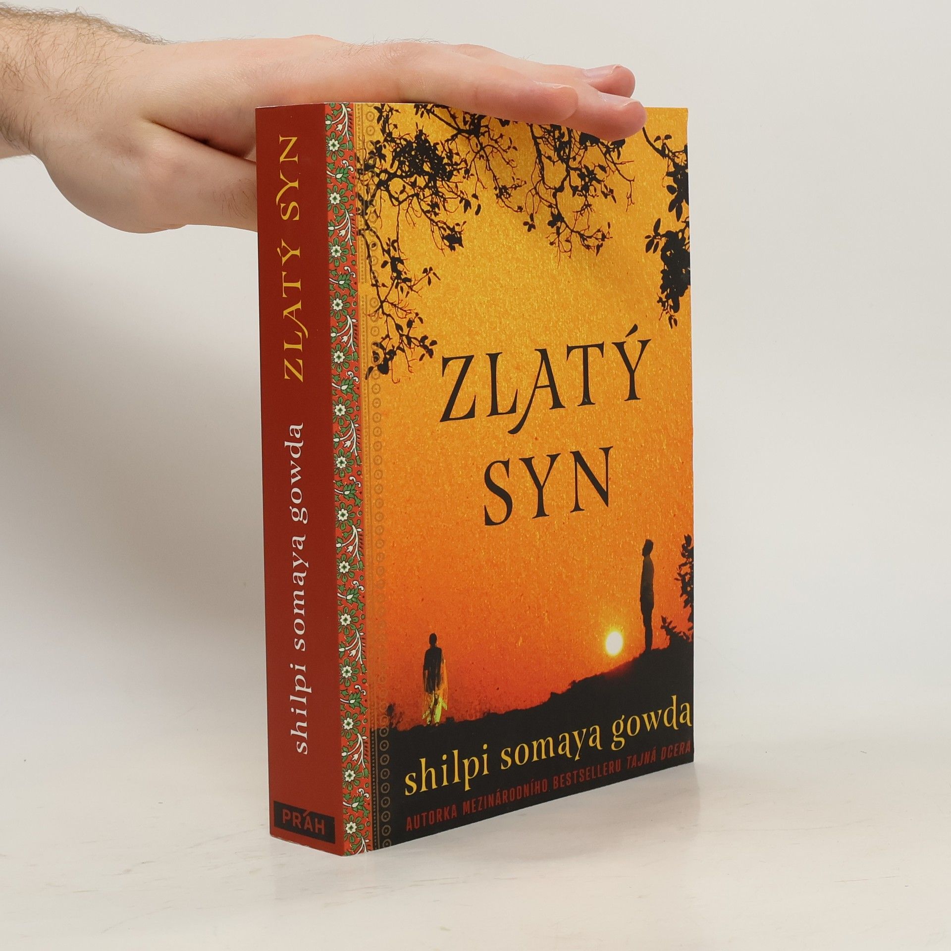 Shilpi Somaya Gowda Zlatý syn