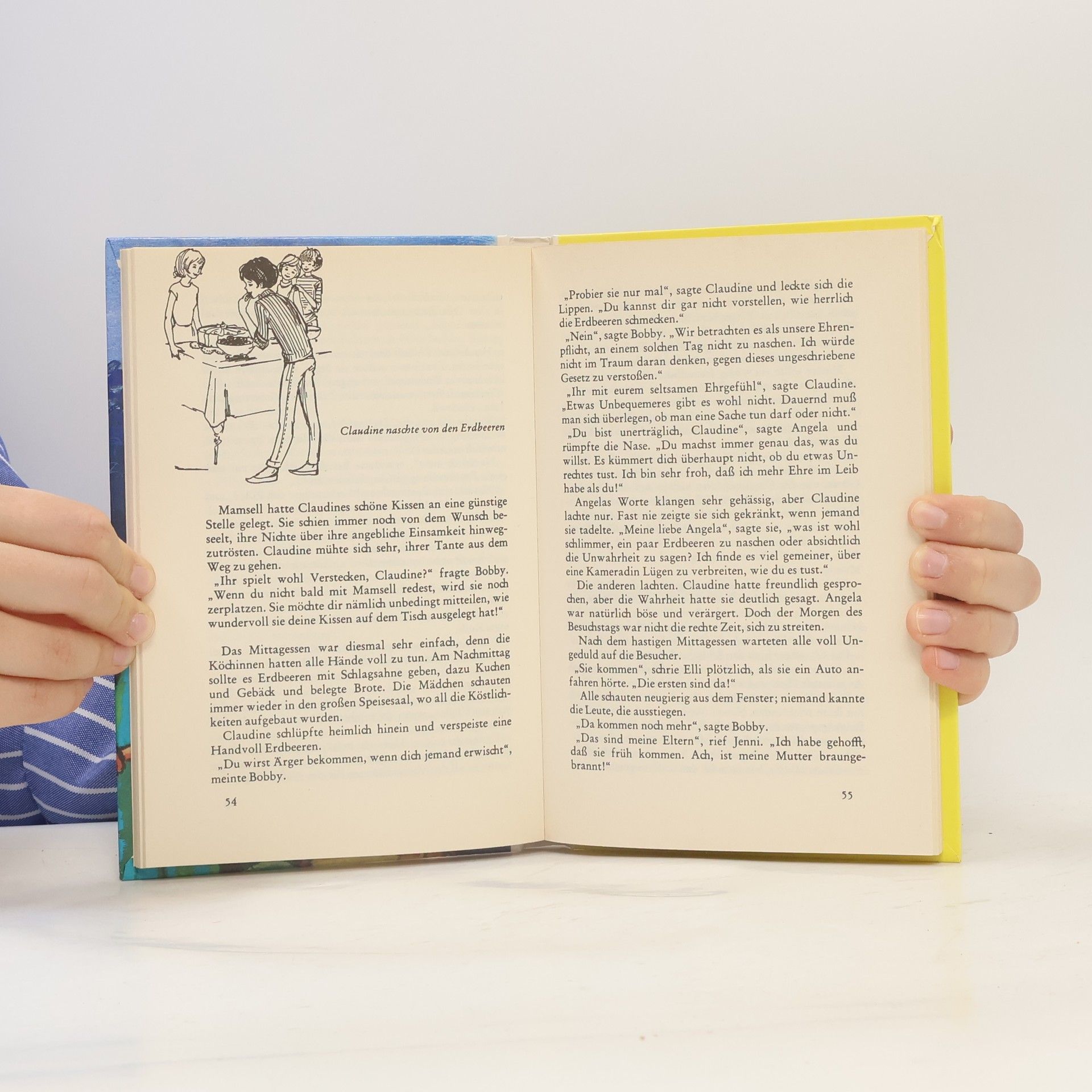 Enid Blyton Lustige Streiche mit Hanni und Nanni