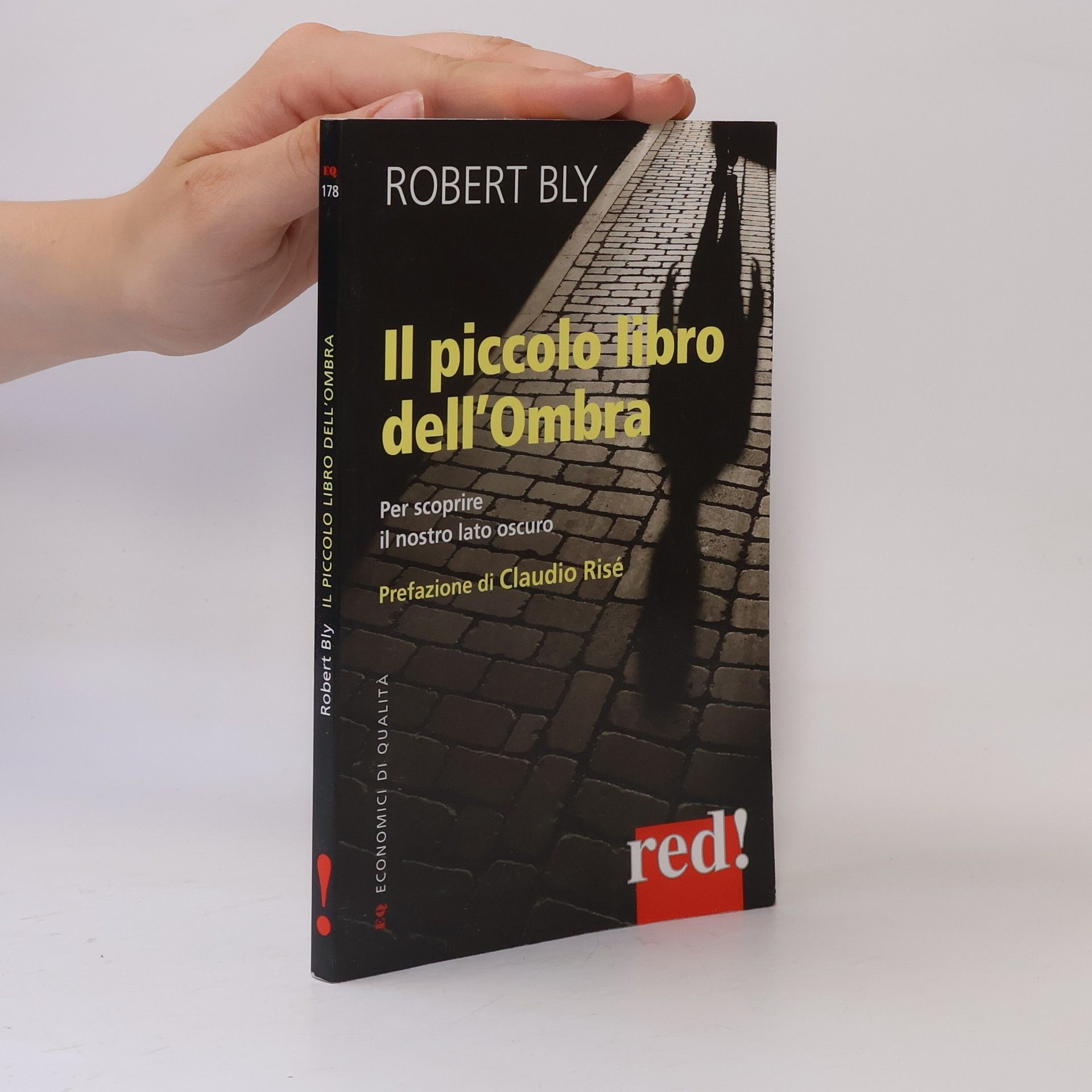 Il piccolo libro dell'ombra. Per scoprire il nostro lato oscuro