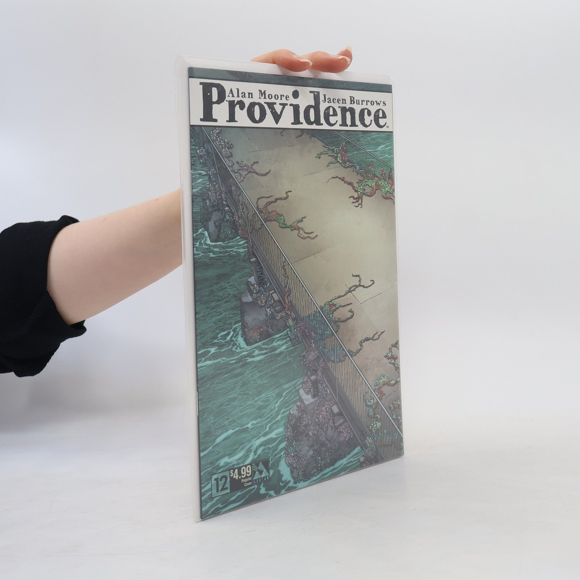 Alan Moore Providence 12
