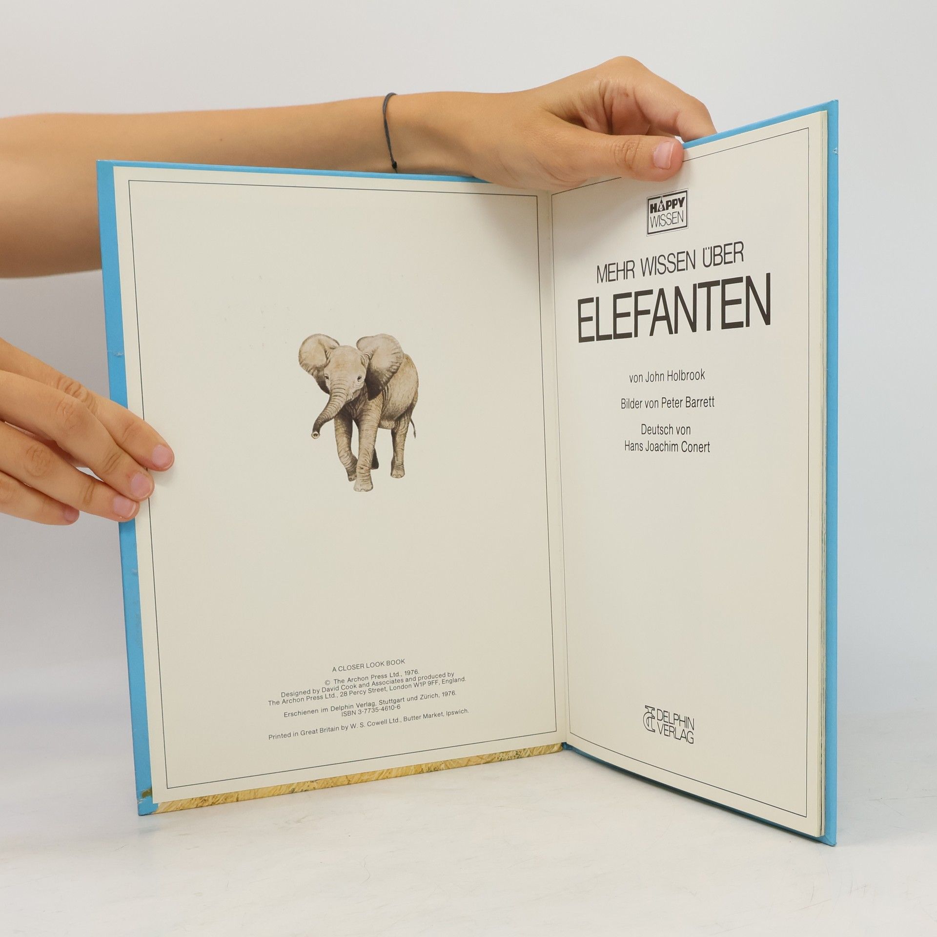 Mehr Wissen über Elefanten