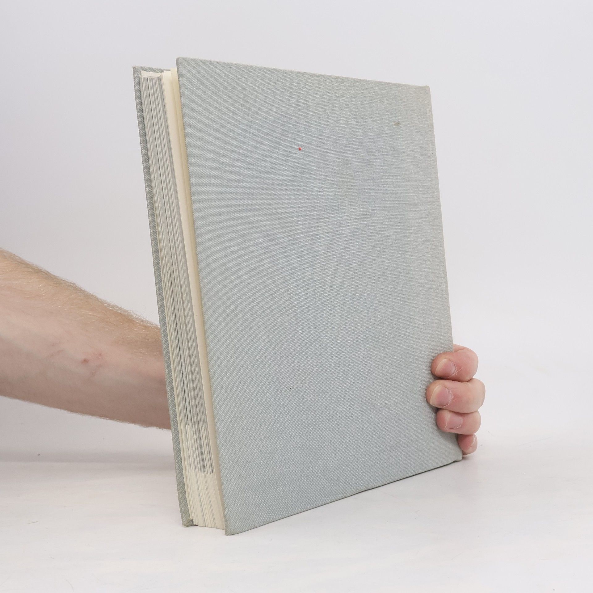 Autorenkollektiv Unsere Filmlieblinge: Ein Bilderbuch