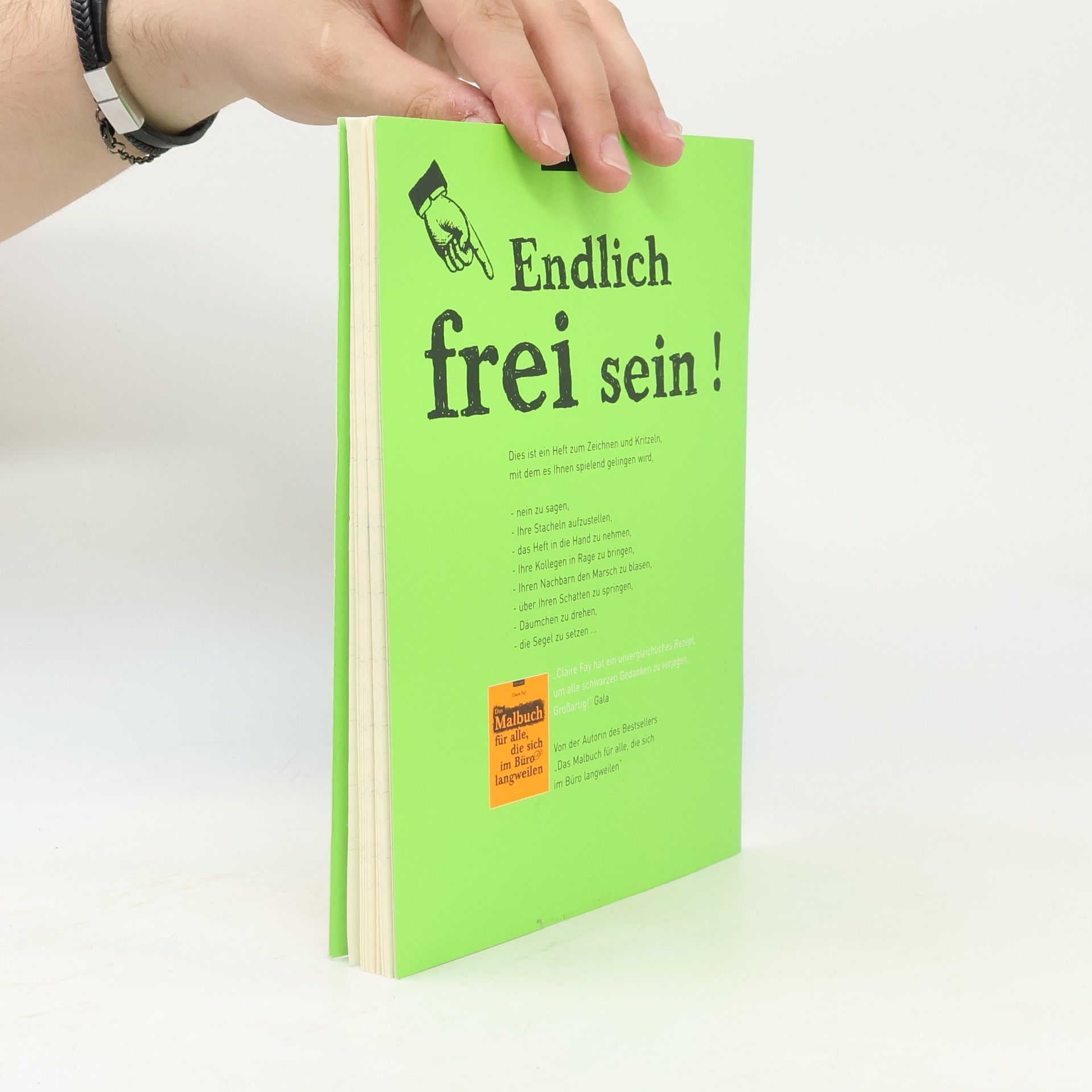 Claire Fay͏̈ Das Malbuch für alle, denen zum Aussteigen das Geld fehlt