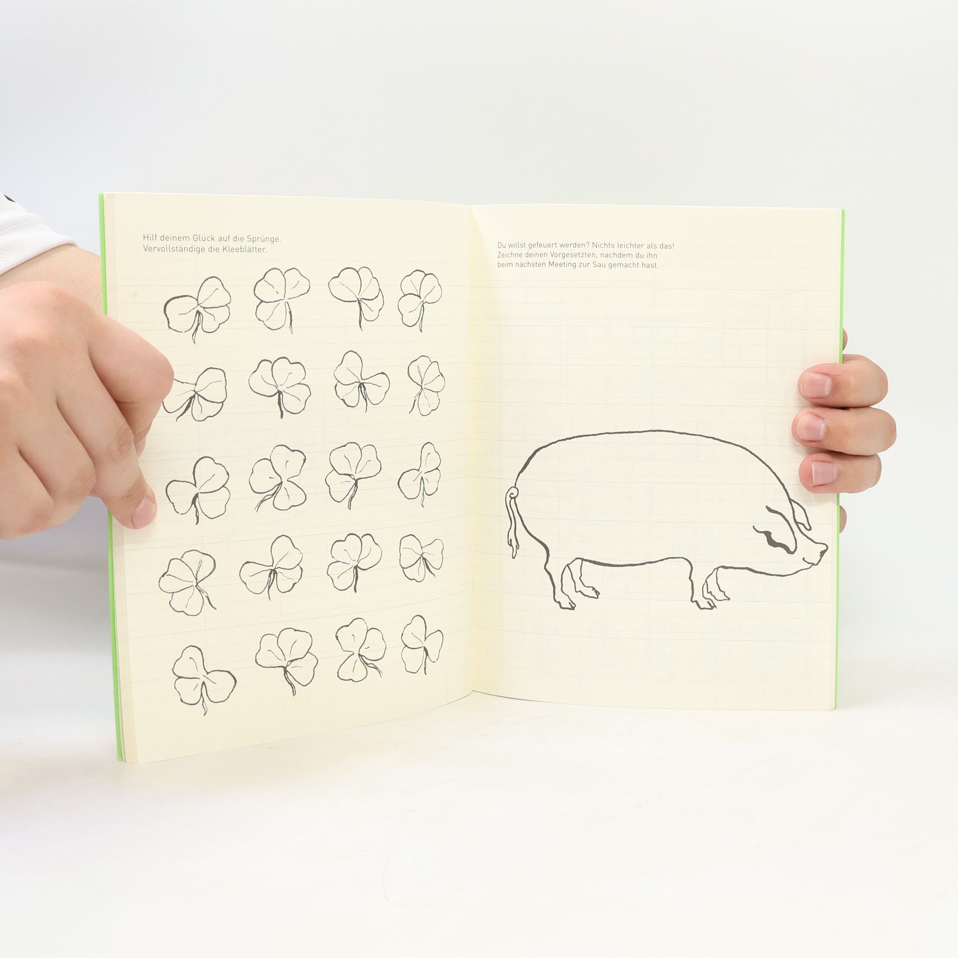 Claire Fay͏̈ Das Malbuch für alle, denen zum Aussteigen das Geld fehlt