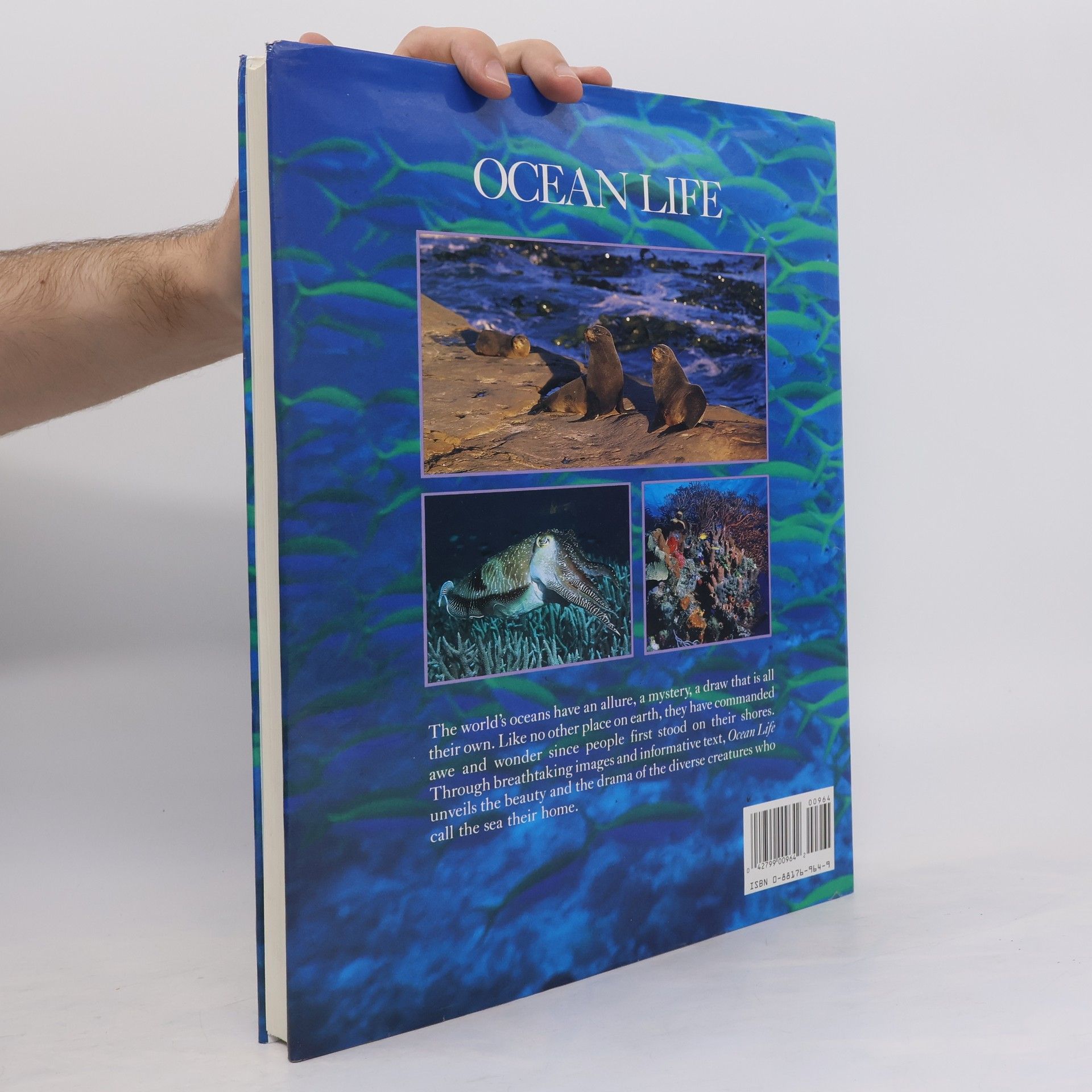 Marty Snyderman Ocean Life