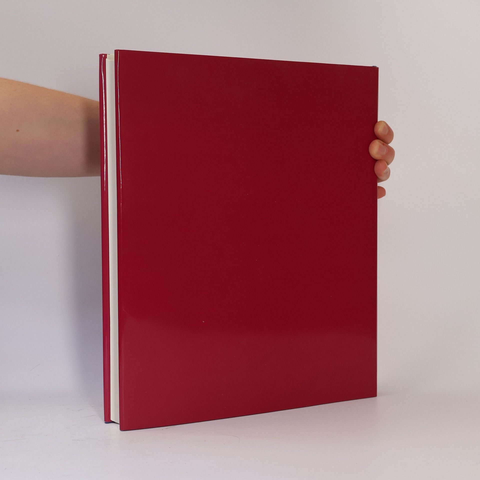 Monika Cämmerer Italienische Forschungen: Kunst des Cinquecento in der Toskana