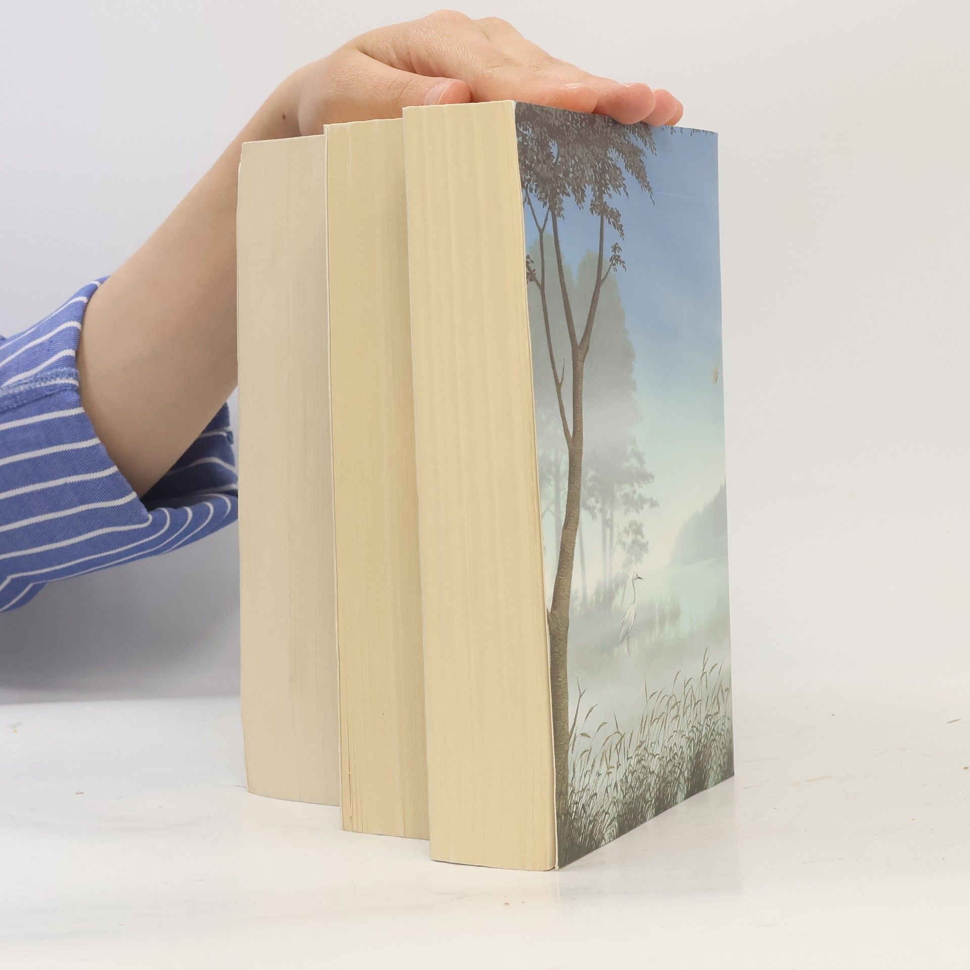 Marion Zimmer Bradley Die Avalon-Trilogie