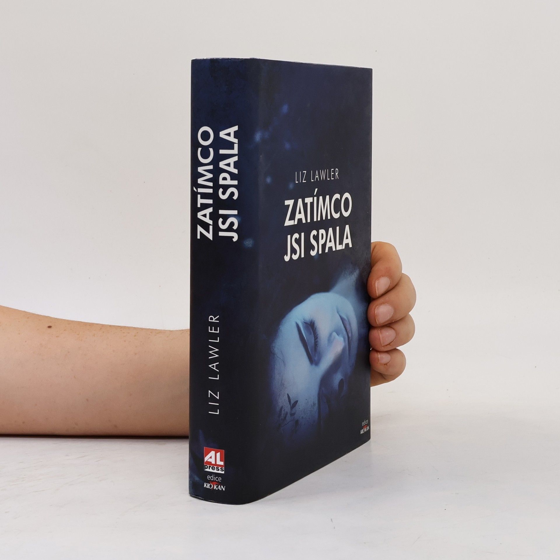 Liz Lawler Zatímco jsi spala